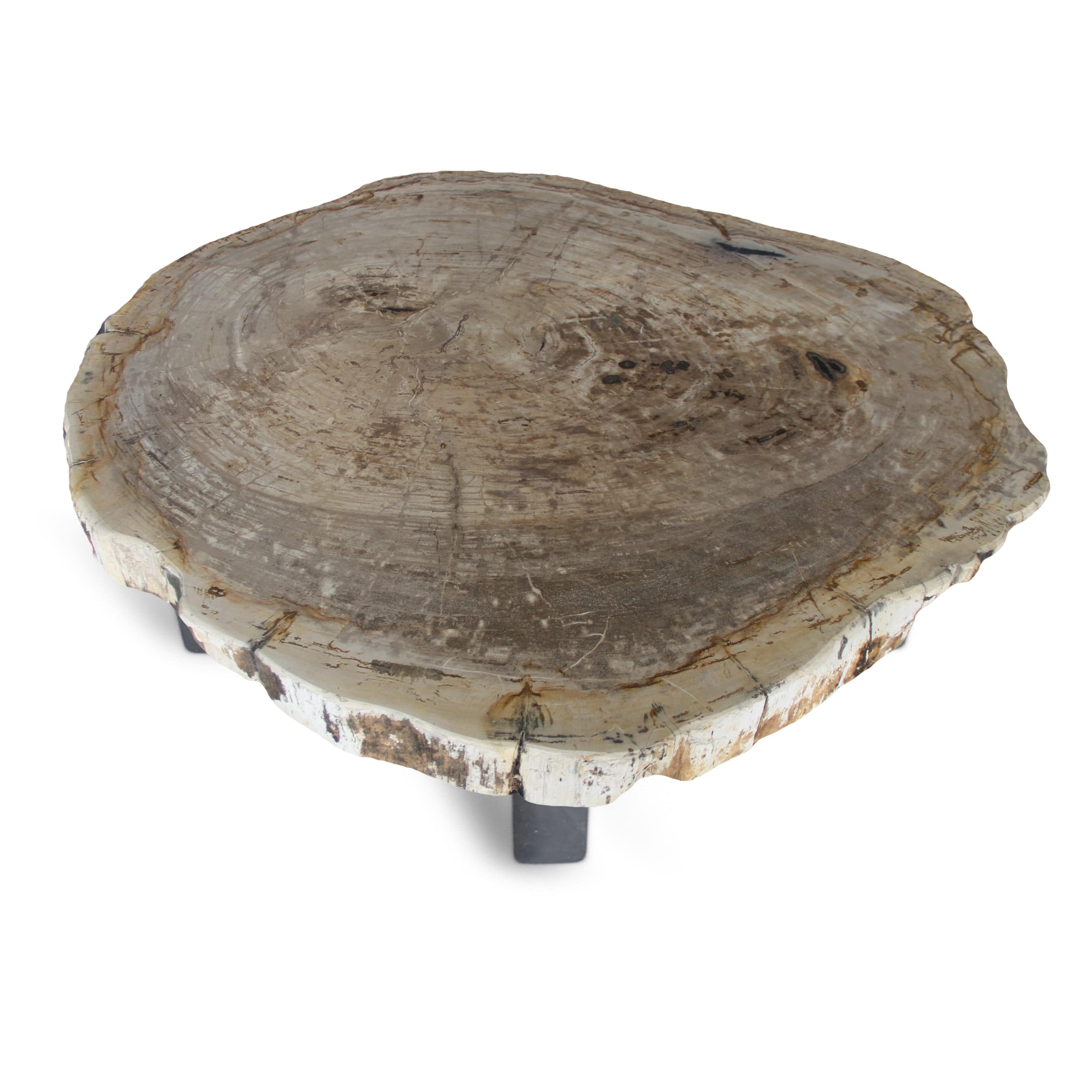 Kalifano Petrified Wood Petrified Wood Round Slab Coffee Table from Indonesia - 34" / 158 lbs PWT5800.001