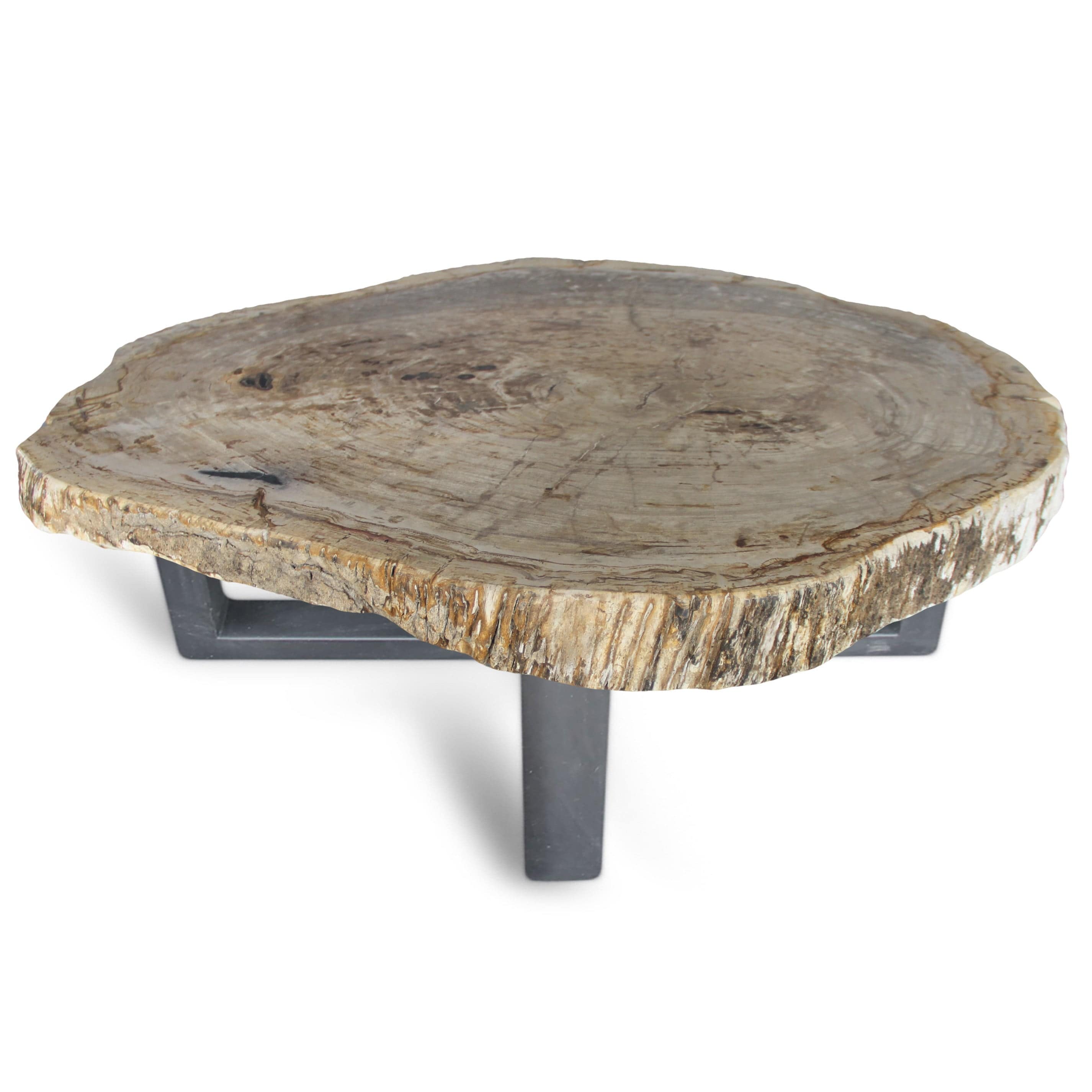 Kalifano Petrified Wood Petrified Wood Round Slab Coffee Table from Indonesia - 34" / 158 lbs PWT5800.001
