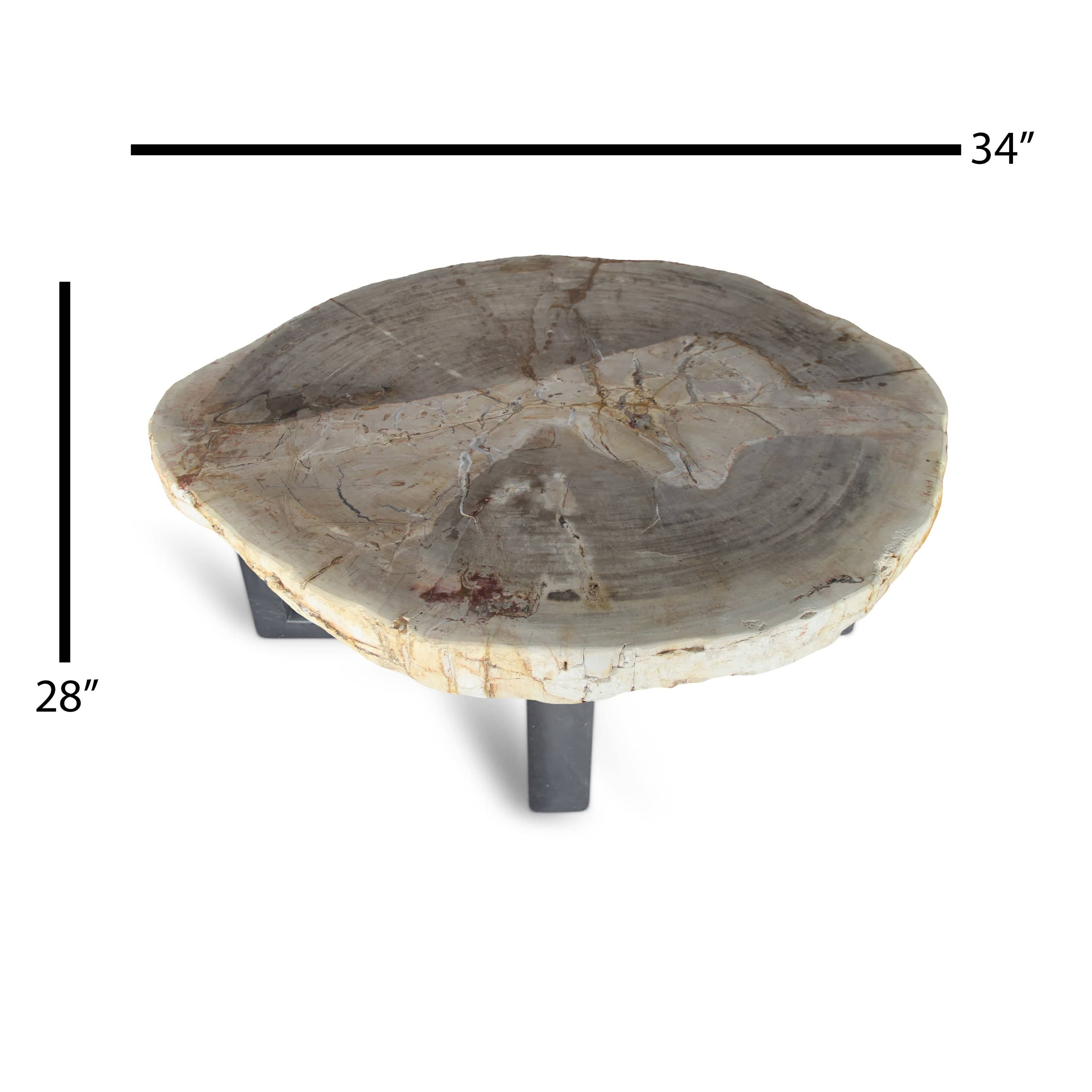 Kalifano Petrified Wood Petrified Wood Round Slab Coffee Table from Indonesia - 34" / 165 lbs PWT6000.004