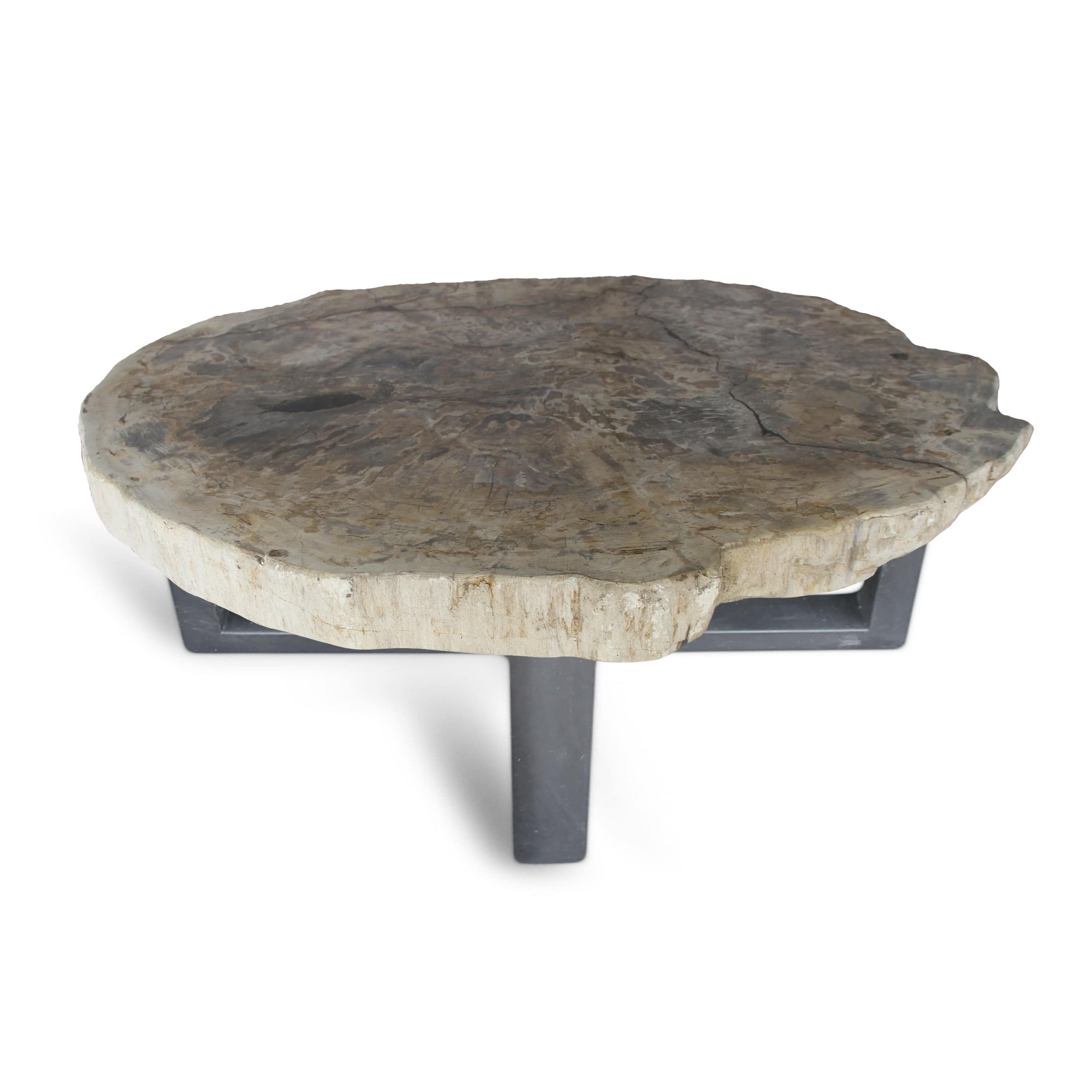 Kalifano Petrified Wood Petrified Wood Round Slab Coffee Table from Indonesia - 35" / 143 lbs PWT5200.004