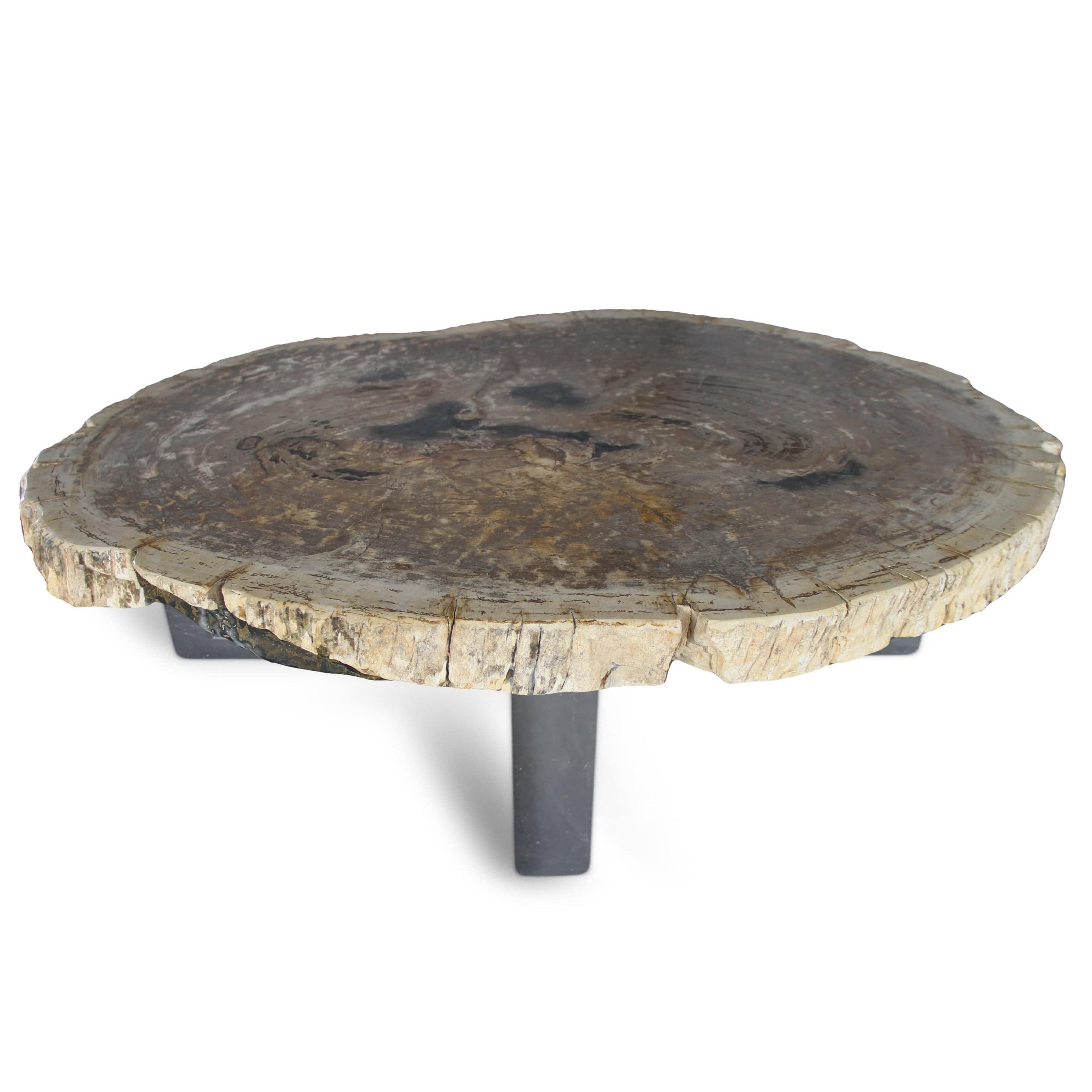 Kalifano Petrified Wood Petrified Wood Round Slab Coffee Table from Indonesia - 36" / 141 lbs PWT5200.002