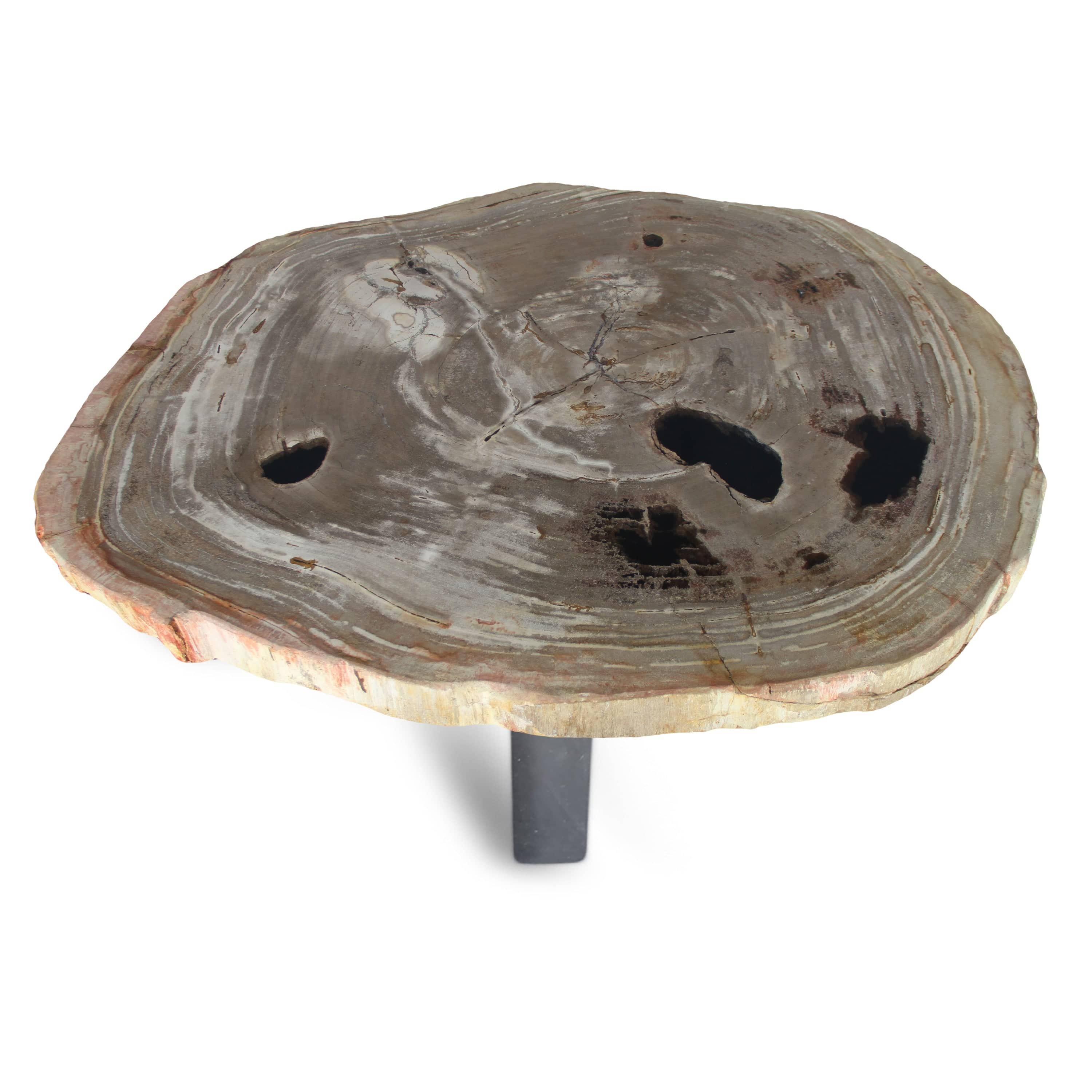 Kalifano Petrified Wood Petrified Wood Round Slab Coffee Table from Indonesia - 37" / 150 lbs PWT5600.004