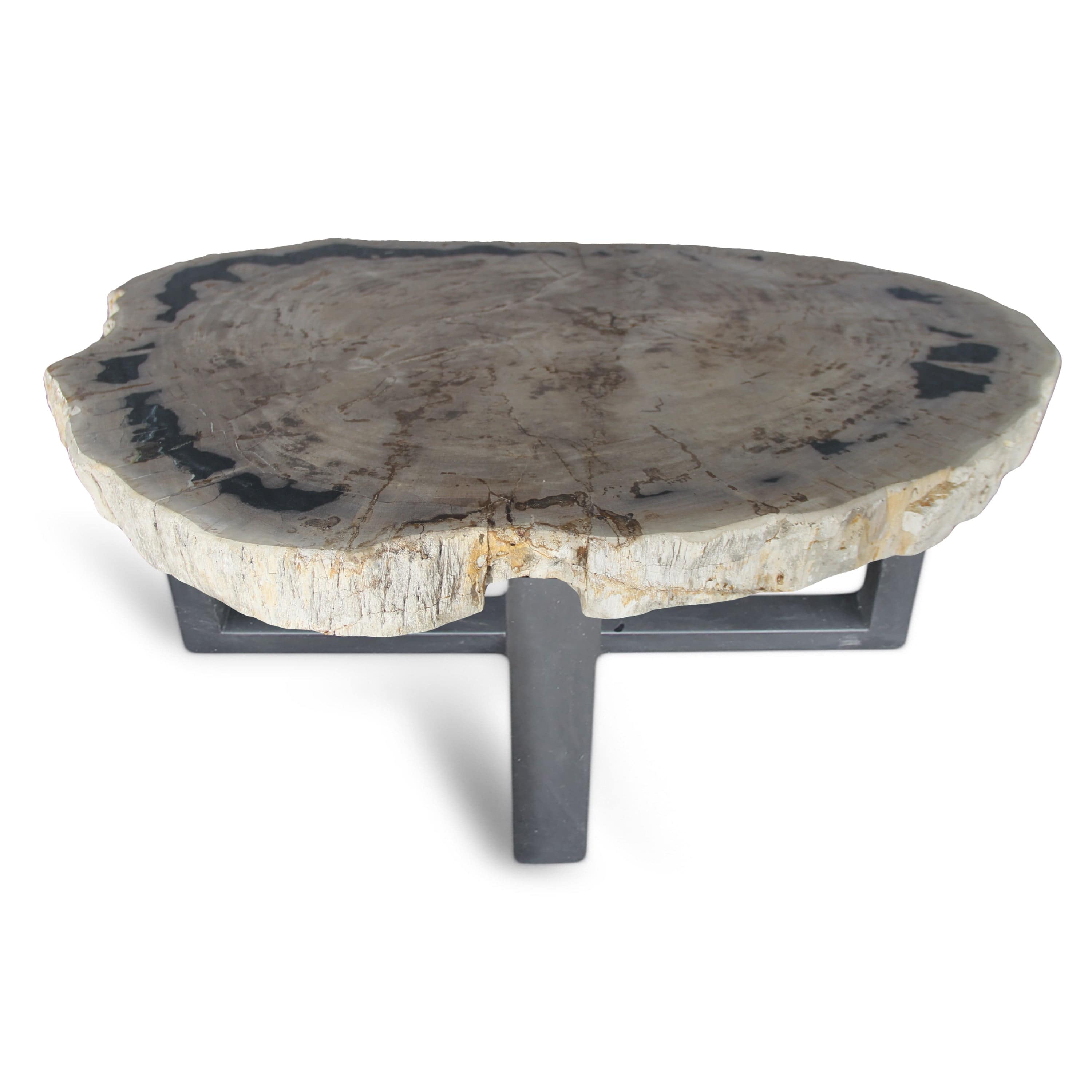 Kalifano Petrified Wood Petrified Wood Round Slab Coffee Table from Indonesia - 37" / 163 lbs PWT6000.002