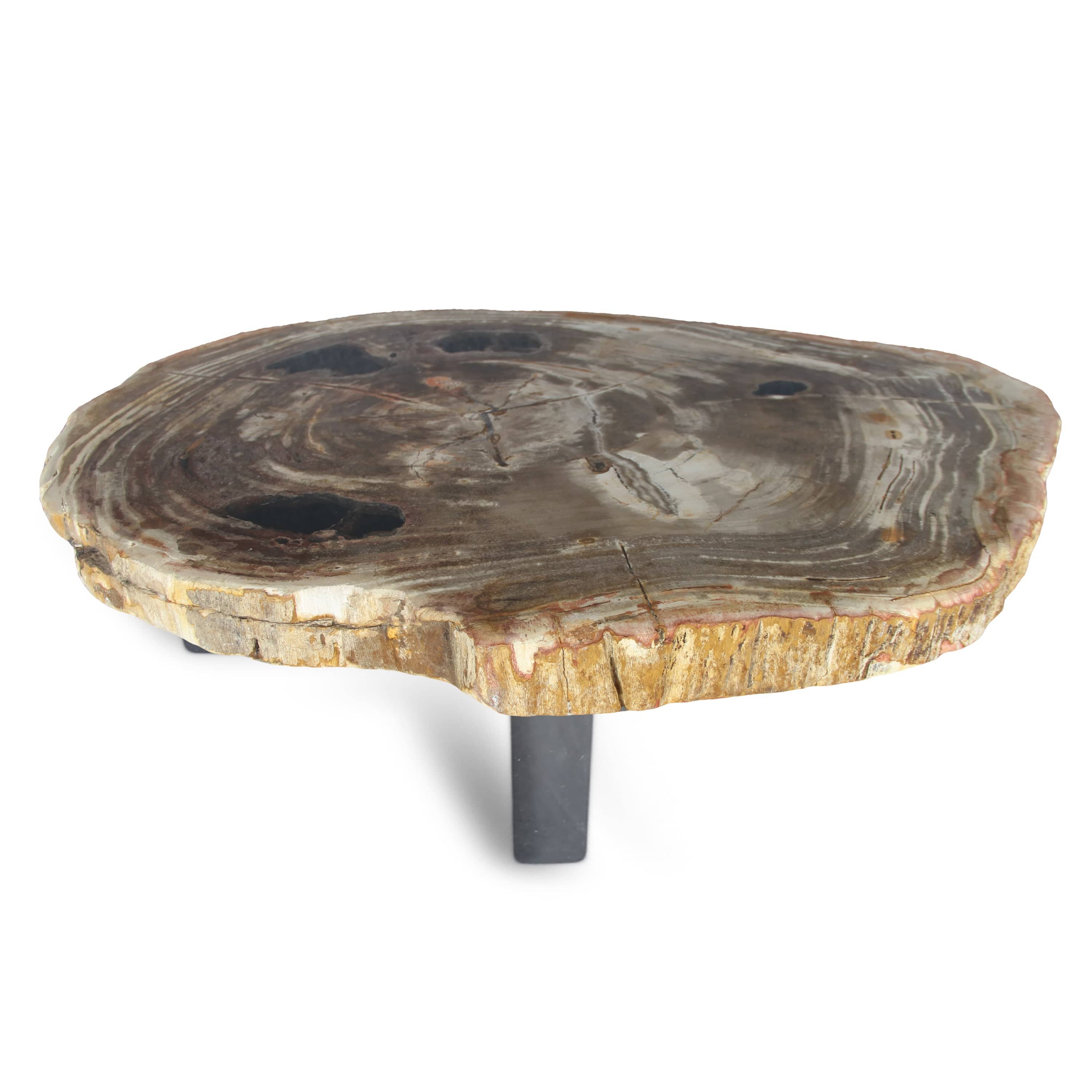 Kalifano Petrified Wood Petrified Wood Round Slab Coffee Table from Indonesia - 37" / 165 lbs PWT6000.003