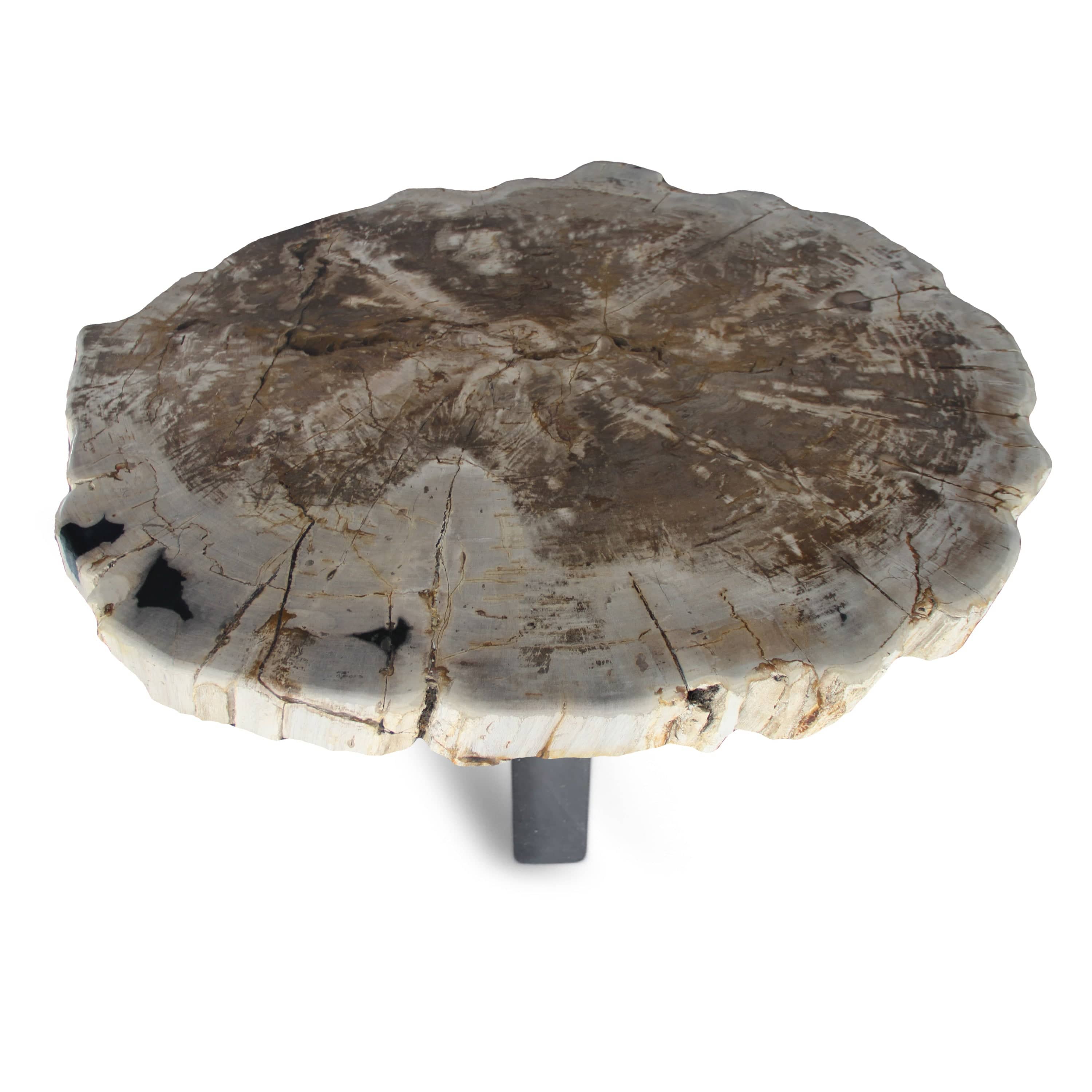 Kalifano Petrified Wood Petrified Wood Round Slab Coffee Table from Indonesia - 38" / 238 lbs PWT8800.002