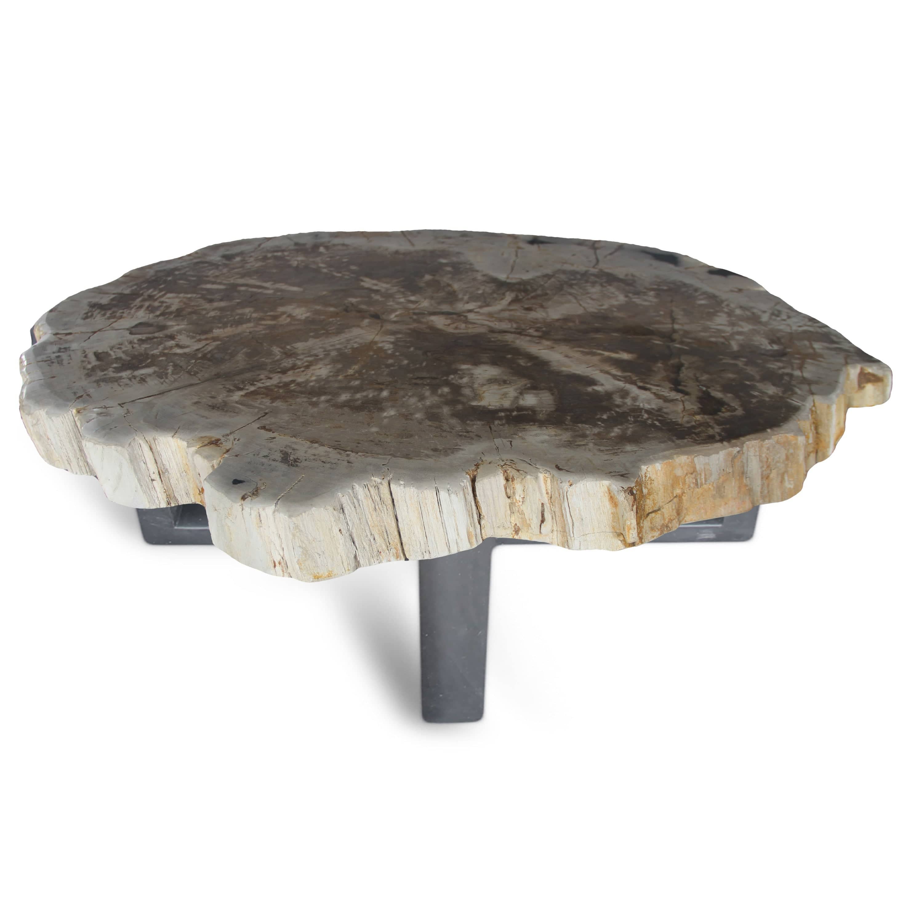 Kalifano Petrified Wood Petrified Wood Round Slab Coffee Table from Indonesia - 38" / 238 lbs PWT8800.002