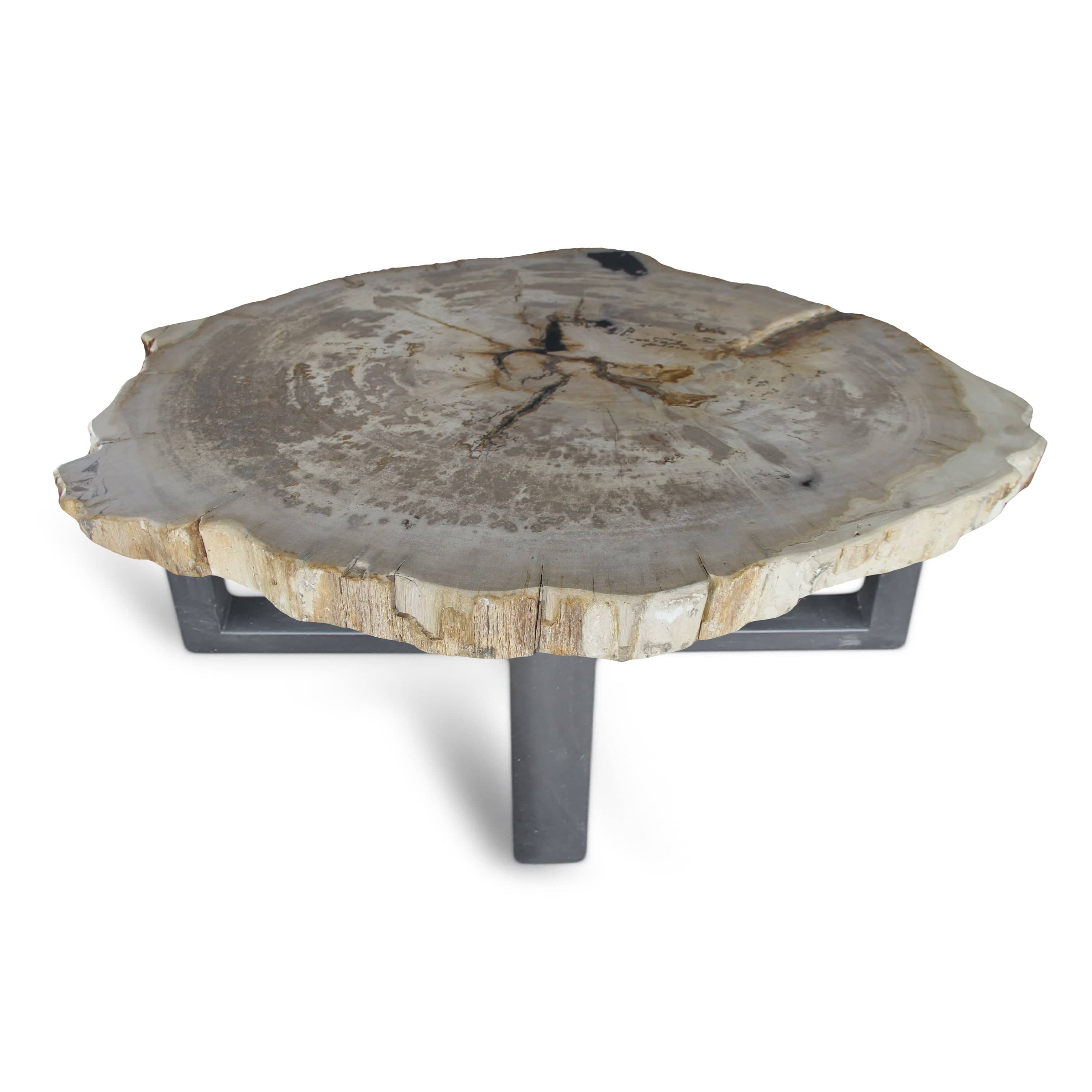 Kalifano Petrified Wood Petrified Wood Round Slab Coffee Table from Indonesia - 39" / 180 lbs PWT6600.002