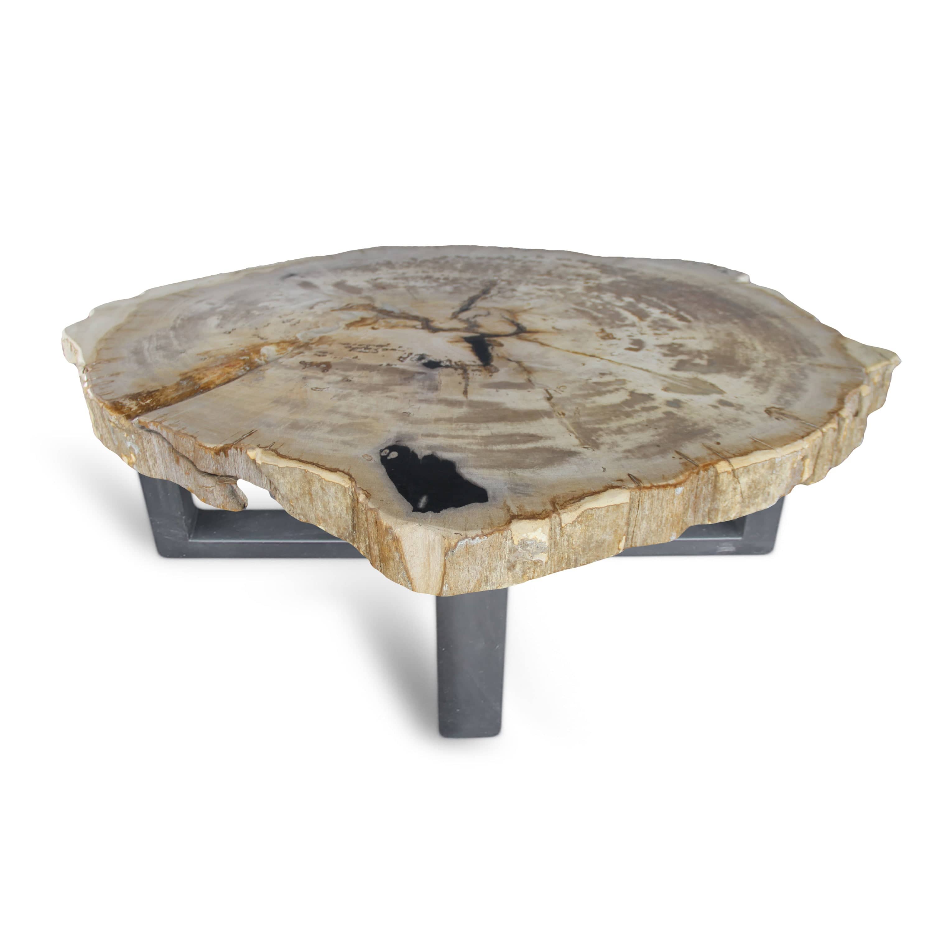 Petrified wood coffee on sale table arhaus