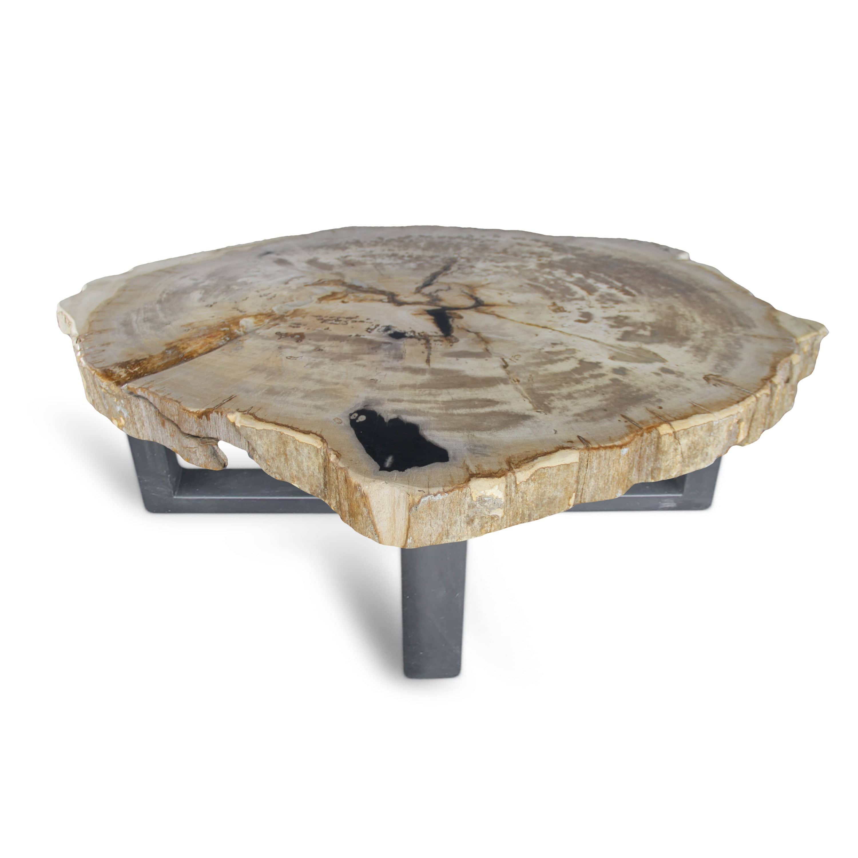 Kalifano Petrified Wood Petrified Wood Round Slab Coffee Table from Indonesia - 39" / 180 lbs PWT6600.002