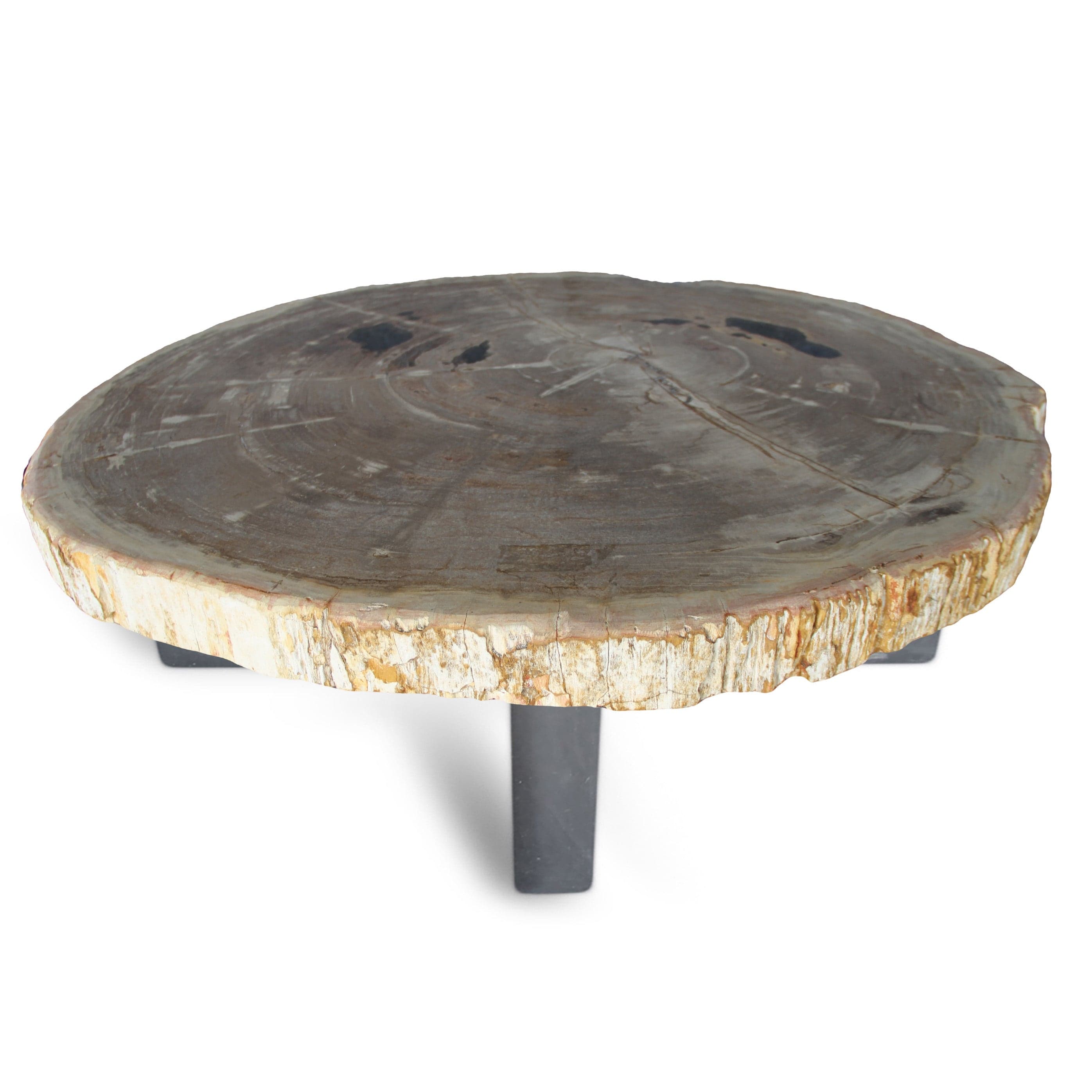 Kalifano Petrified Wood Petrified Wood Round Slab Coffee Table from Indonesia - 39" / 264 lbs PWT9600.005