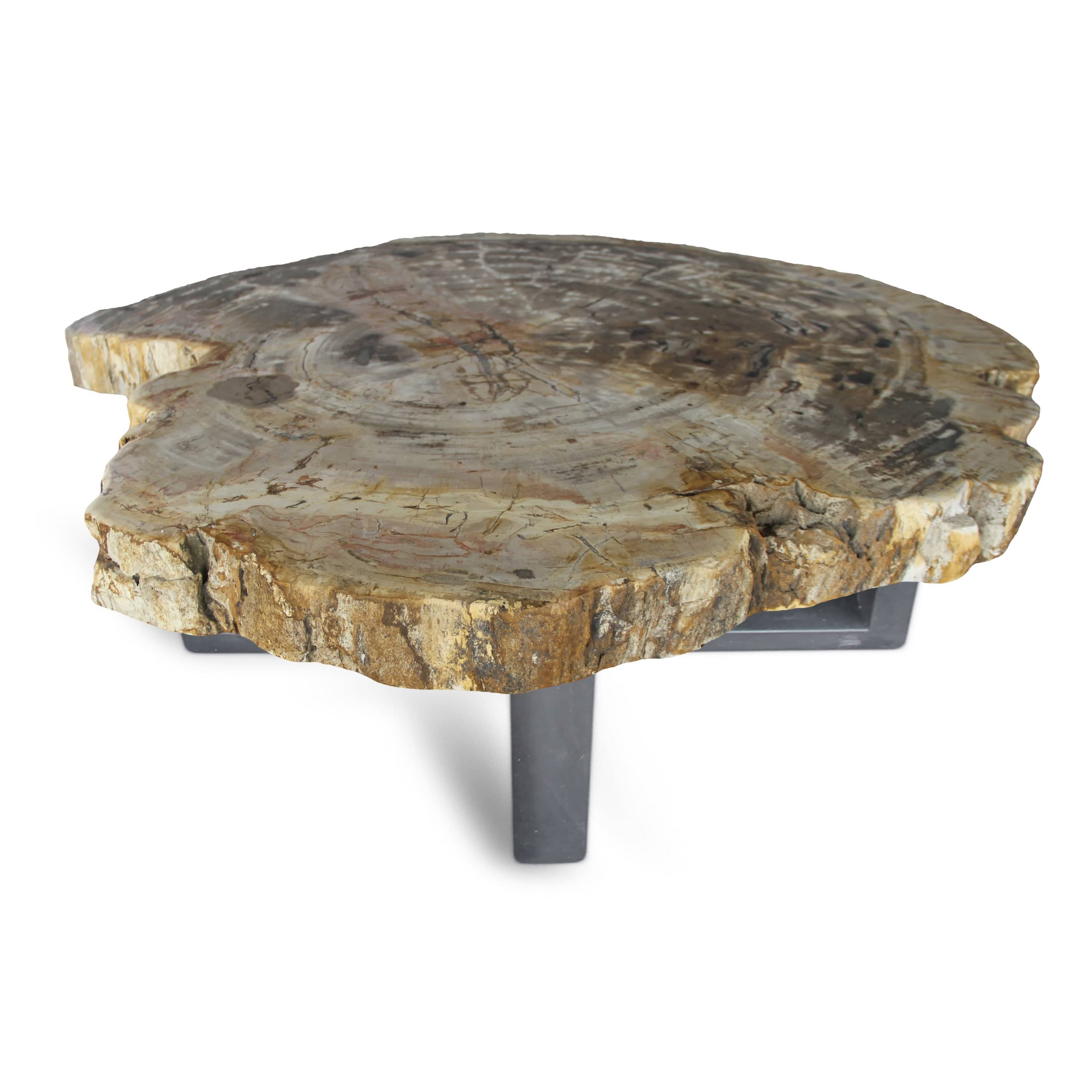 Kalifano Petrified Wood Petrified Wood Round Slab Coffee Table from Indonesia - 43" / 282 lbs PWT10400.002