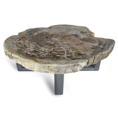 Kalifano Petrified Wood Petrified Wood Round Slab Coffee Table from Indonesia - 43" / 282 lbs PWT10400.002