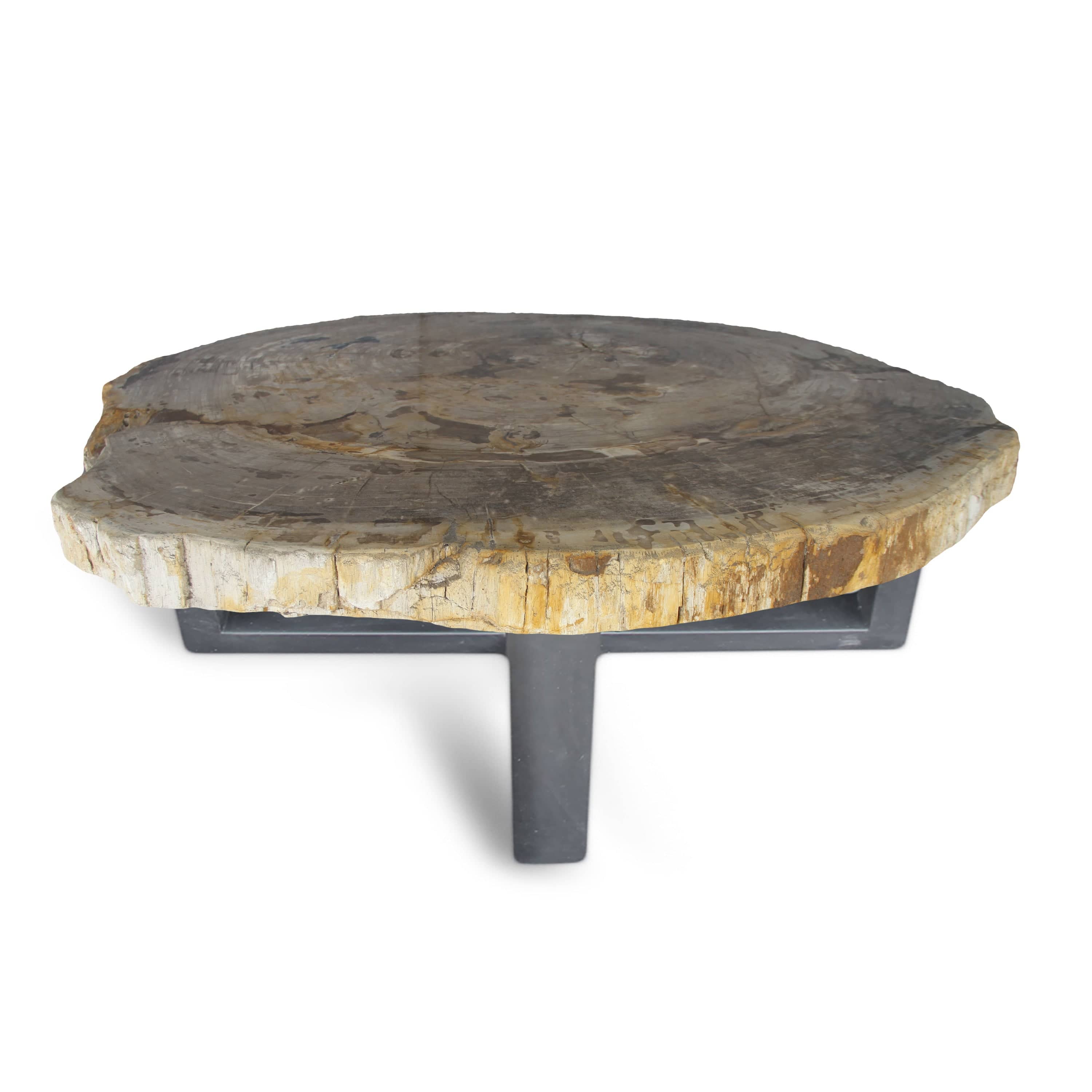 Kalifano Petrified Wood Petrified Wood Round Slab Coffee Table from Indonesia - 45" / 381 lbs PWT14000.002