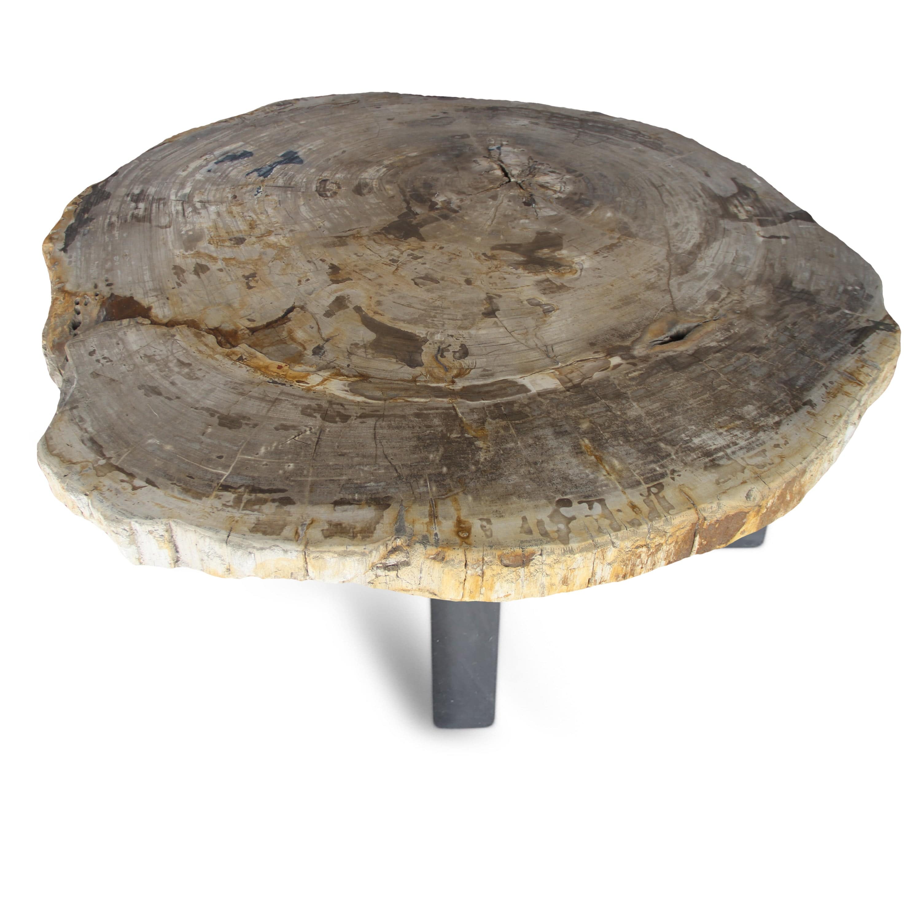 Kalifano Petrified Wood Petrified Wood Round Slab Coffee Table from Indonesia - 45" / 381 lbs PWT14000.002