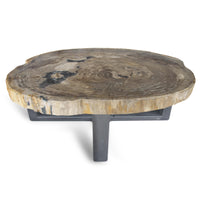 Petrified Wood Round Slab Coffee Table from Indonesia - 45