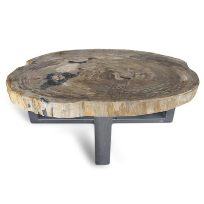 Kalifano Petrified Wood Petrified Wood Round Slab Coffee Table from Indonesia - 45" / 387 lbs PWT14200.001