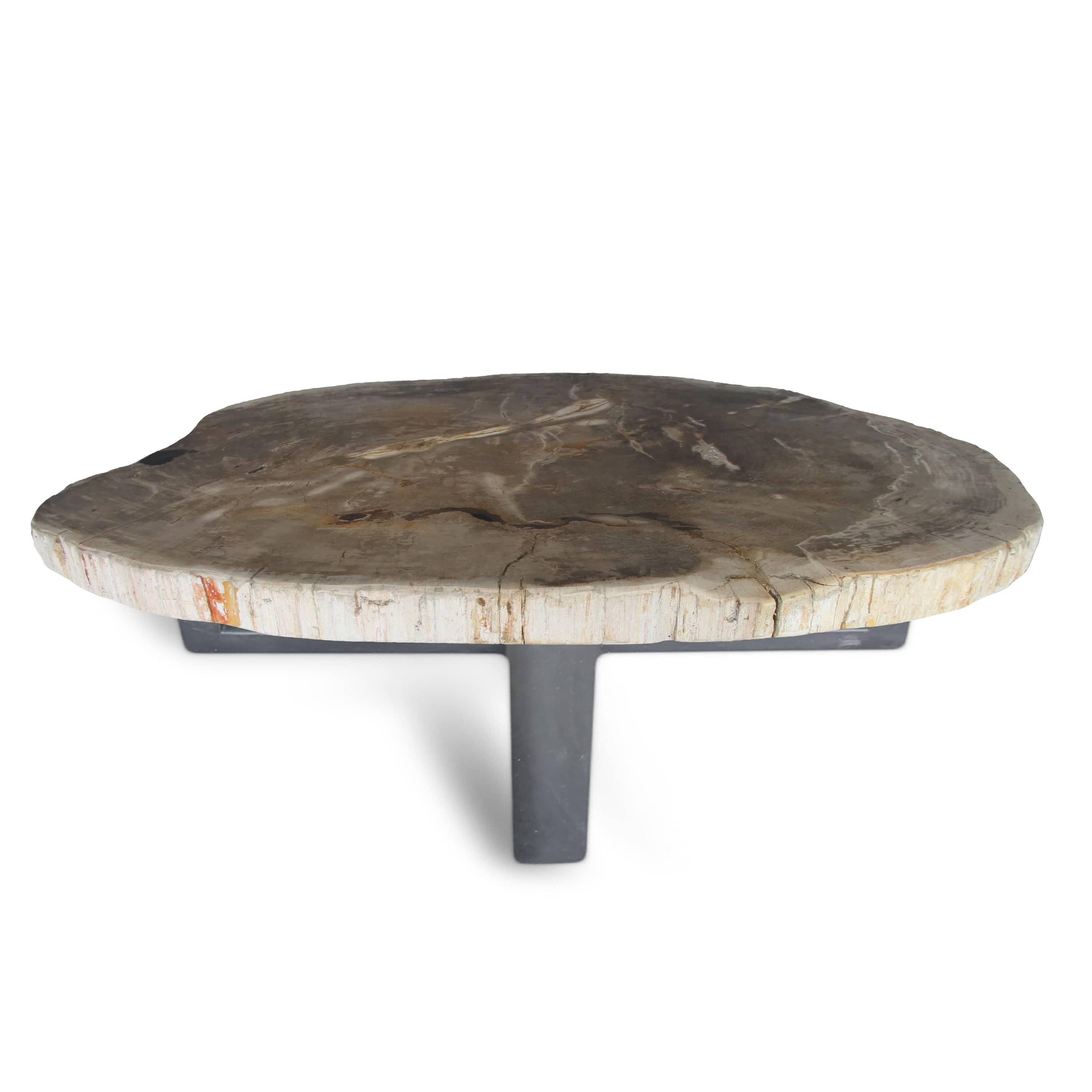 Kalifano Petrified Wood Petrified Wood Round Slab Coffee Table from Indonesia - 47" / 275 lbs PWT10000.005