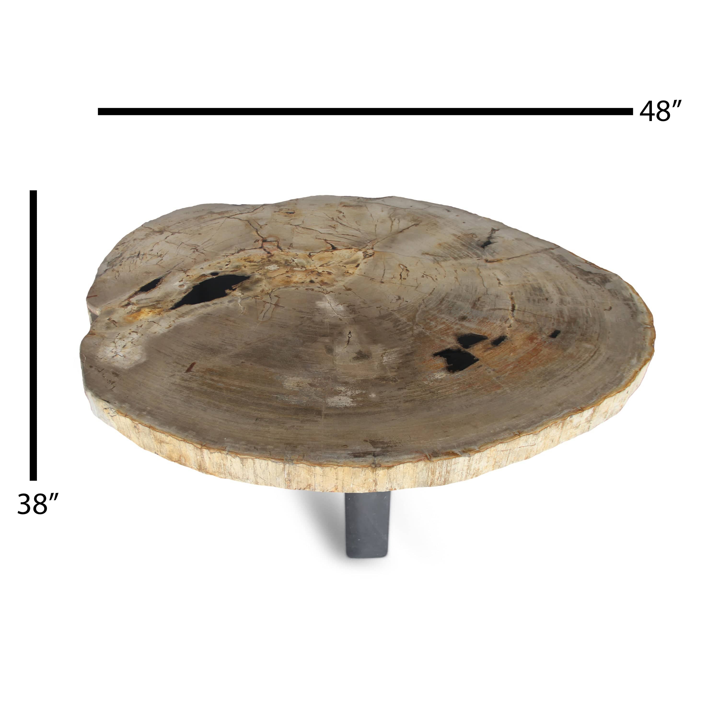 Kalifano Petrified Wood Petrified Wood Round Slab Coffee Table from Indonesia - 48" / 277 lbs PWT10200.003