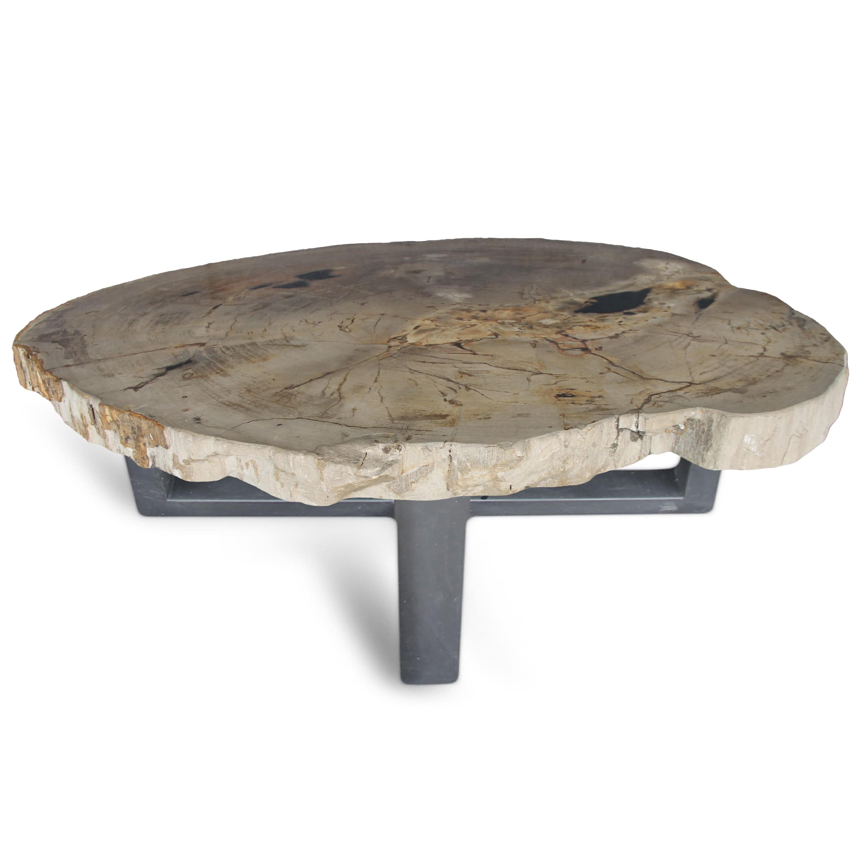 Kalifano Petrified Wood Petrified Wood Round Slab Coffee Table from Indonesia - 48" / 277 lbs PWT10200.003