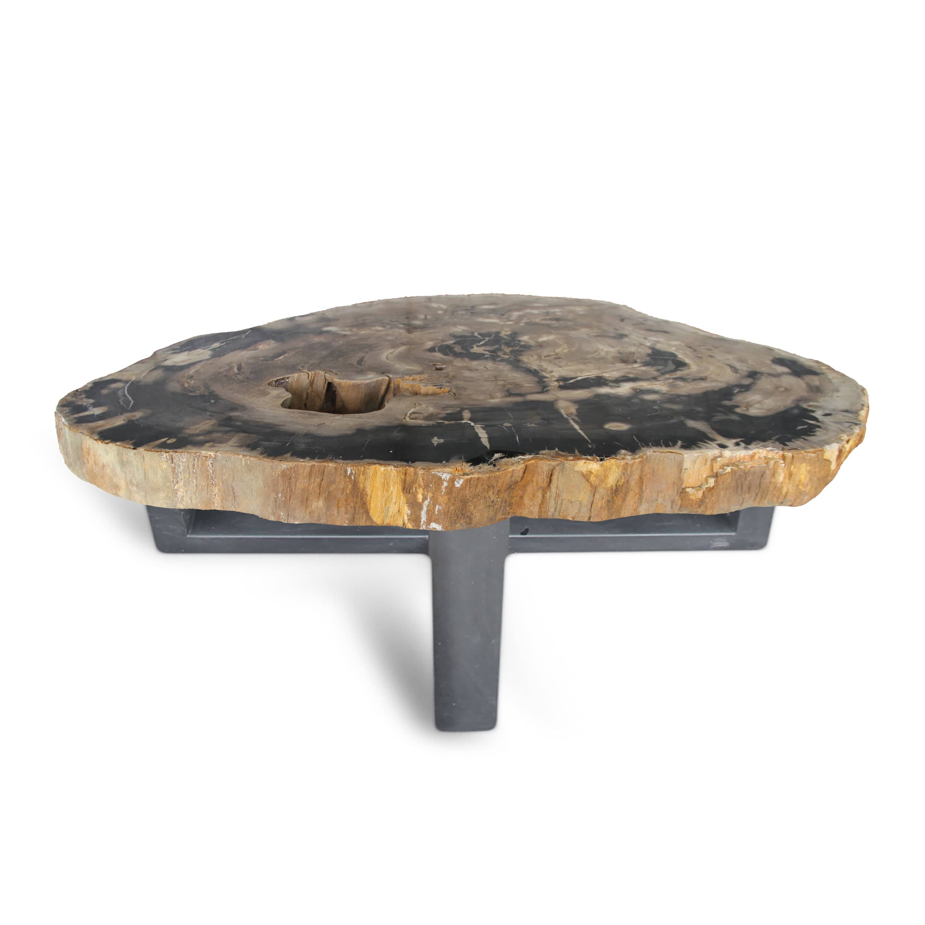 Kalifano Petrified Wood Petrified Wood Round Slab Coffee Table from Indonesia - 48" / 330 lbs PWT12000.003