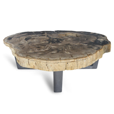 Kalifano Petrified Wood Petrified Wood Round Slab Coffee Table from Indonesia - 48" / 330 lbs PWT12000.003