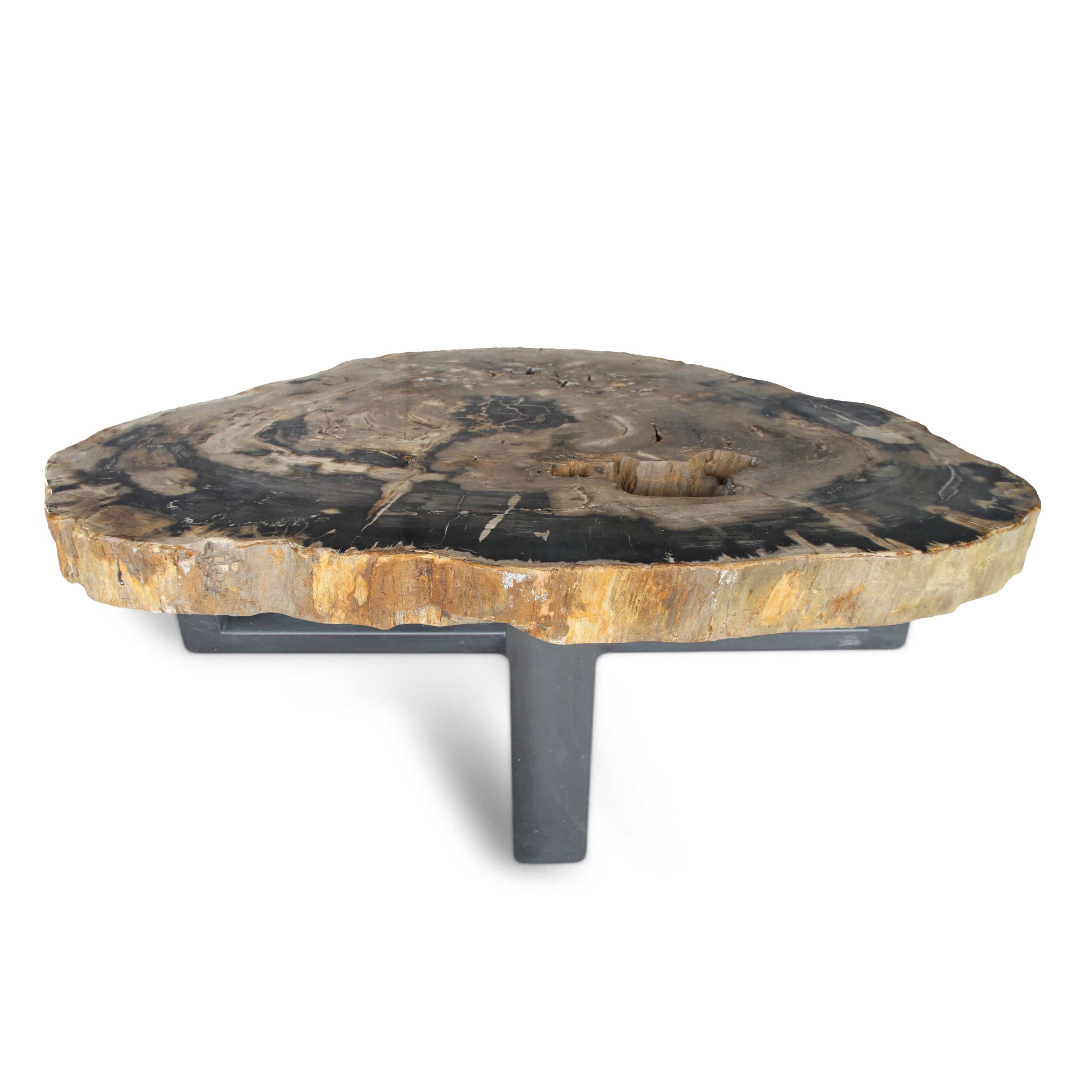 Kalifano Petrified Wood Petrified Wood Round Slab Coffee Table from Indonesia - 48" / 343 lbs PWT12600.001