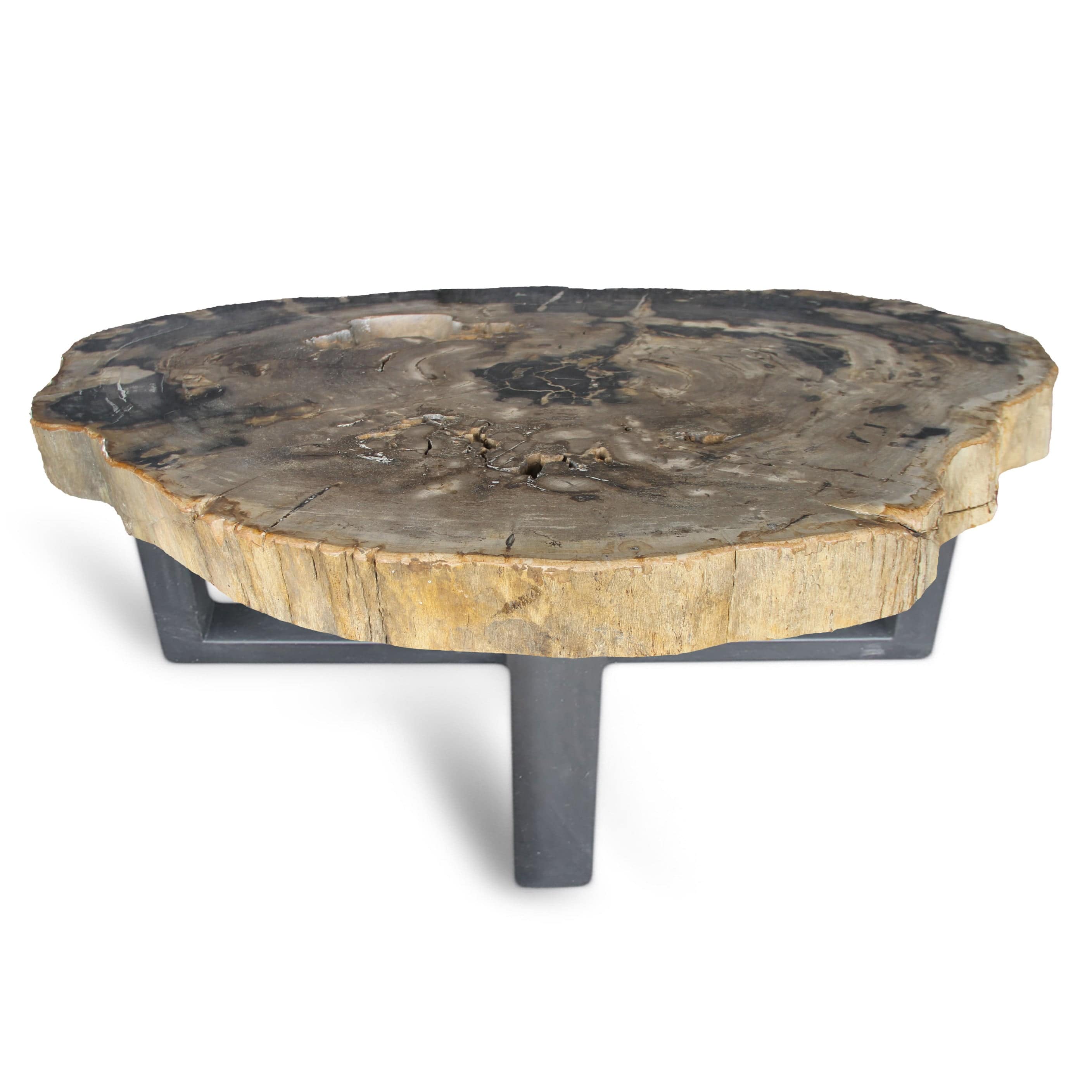 Kalifano Petrified Wood Petrified Wood Round Slab Coffee Table from Indonesia - 48" / 343 lbs PWT12600.001