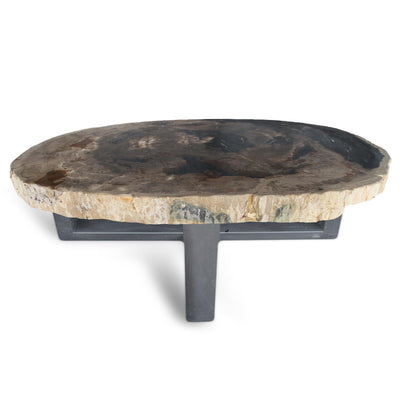 Kalifano Petrified Wood Petrified Wood Round Slab Coffee Table from Indonesia - 49" / 337 lbs PWT12400.003