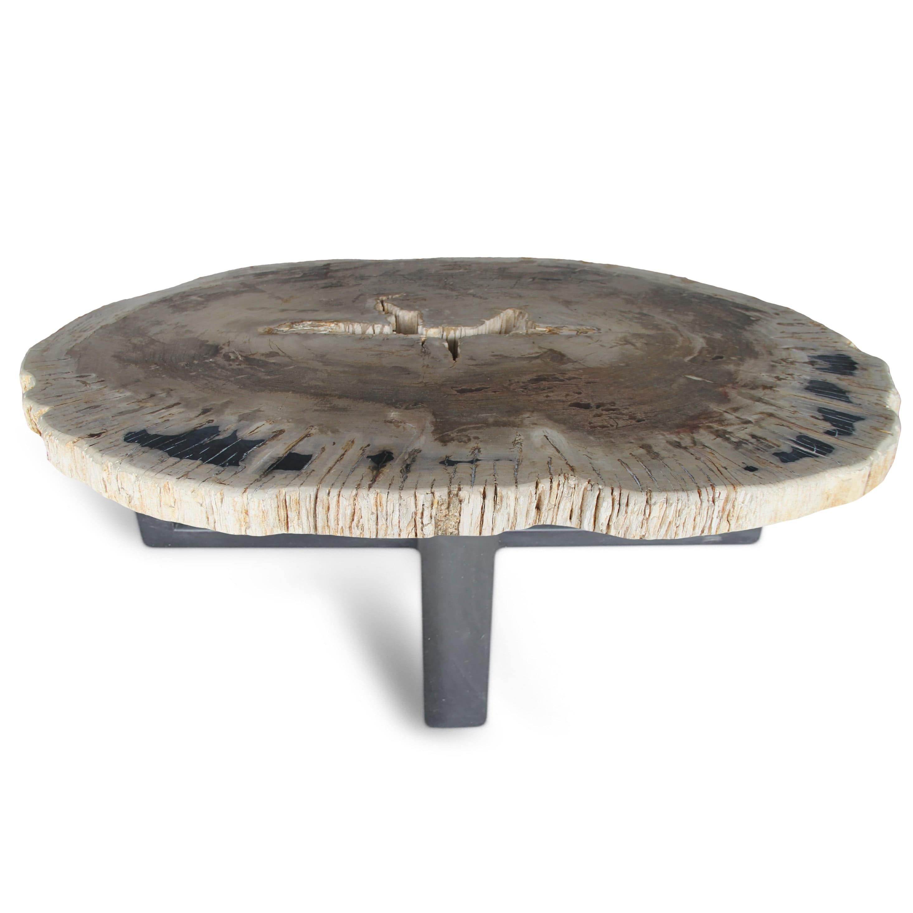 Kalifano Petrified Wood Petrified Wood Round Slab Coffee Table from Indonesia - 51" / 297 lbs PWT10800.006
