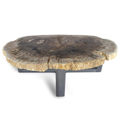 Kalifano Petrified Wood Petrified Wood Round Slab Coffee Table from Indonesia - 57" / 418 lbs PWT15200.002