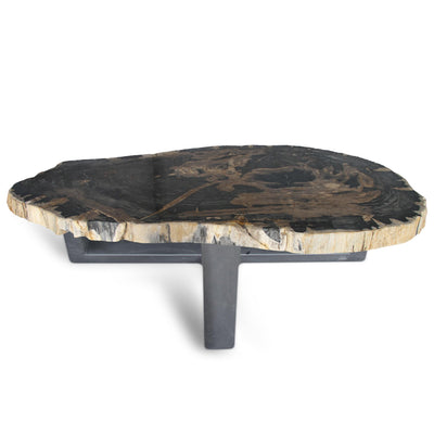 Kalifano Petrified Wood Petrified Wood Round Slab Coffee Table from Indonesia - 61" / 330 lbs PWT12000.002
