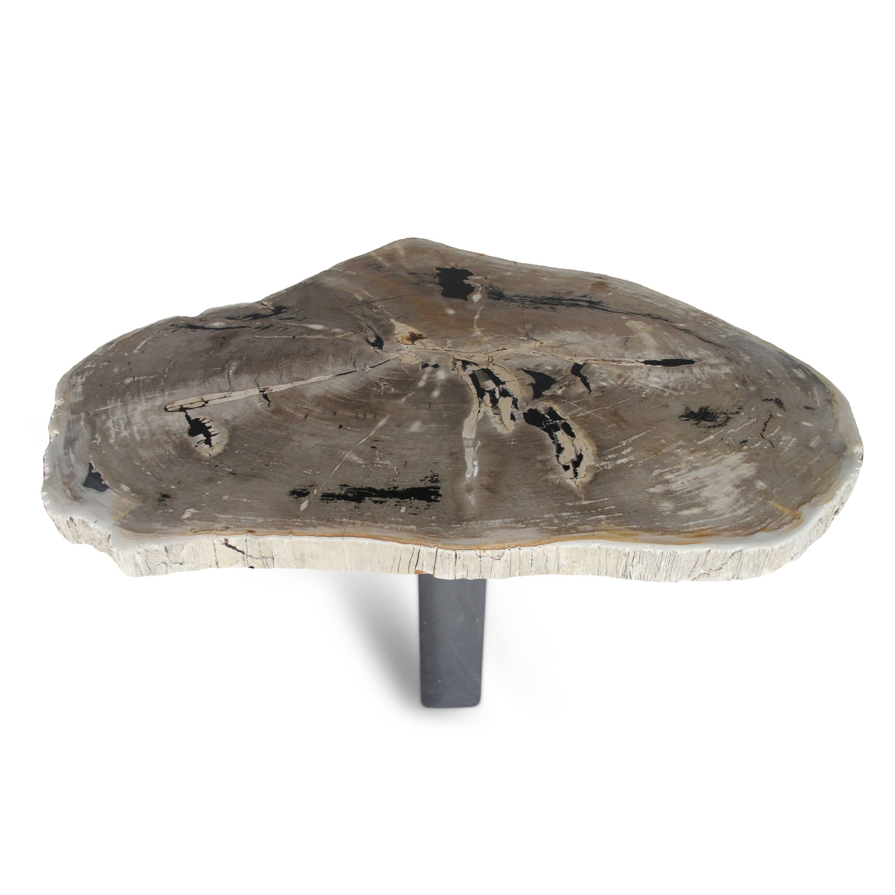 Kalifano Petrified Wood Petrified Wood Round Slab Coffee Table from Indonesia - 61" / 429 lbs PWT15600.002