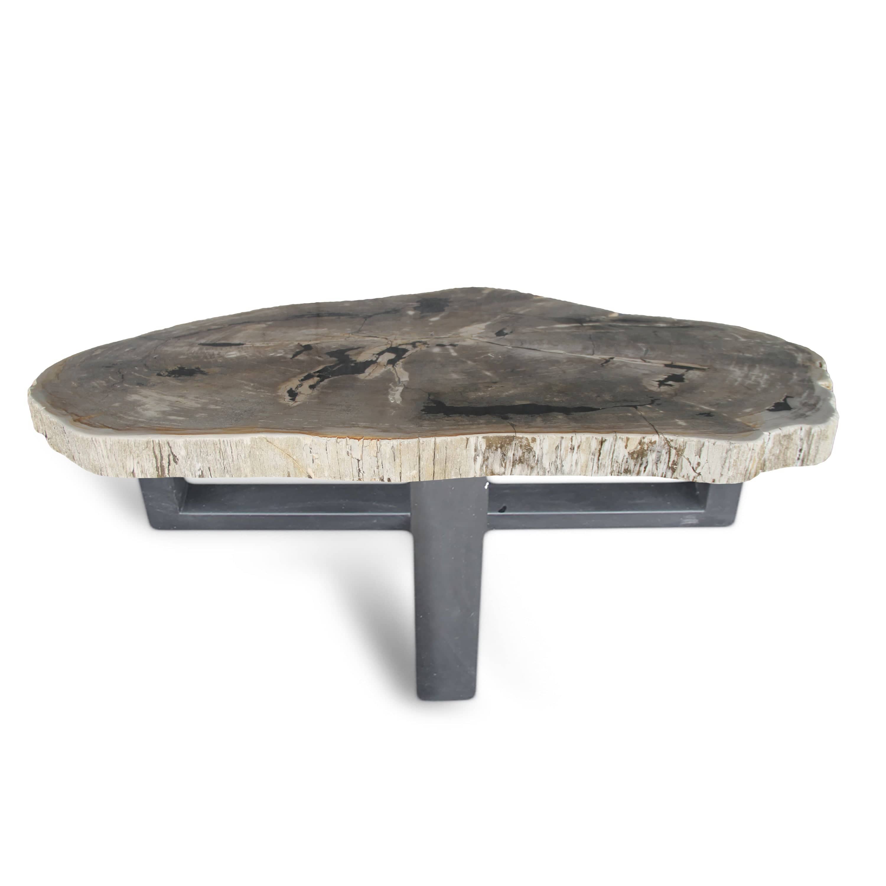 Petrified Wood Round Slab Coffee Table from Indonesia - 61" / 466 lbs