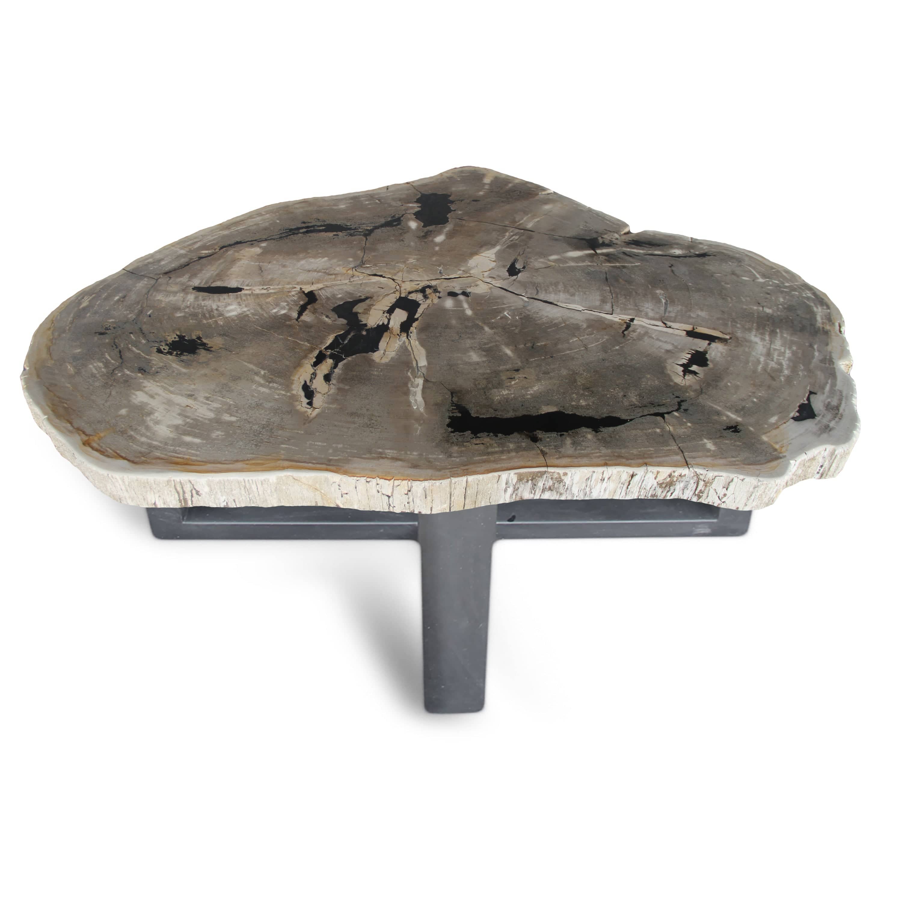 Kalifano Petrified Wood Petrified Wood Round Slab Coffee Table from Indonesia - 61" / 466 lbs PWT17000.001