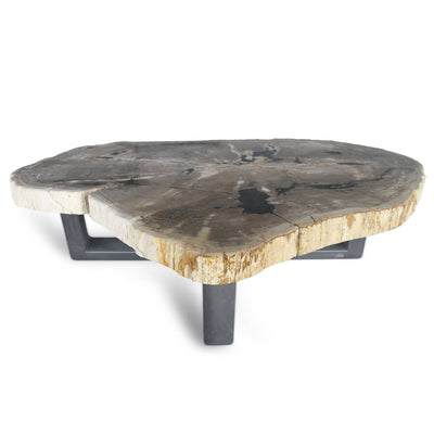 Kalifano Petrified Wood Petrified Wood Round Slab Coffee Table from Indonesia - 61" / 466 lbs PWT17000.001
