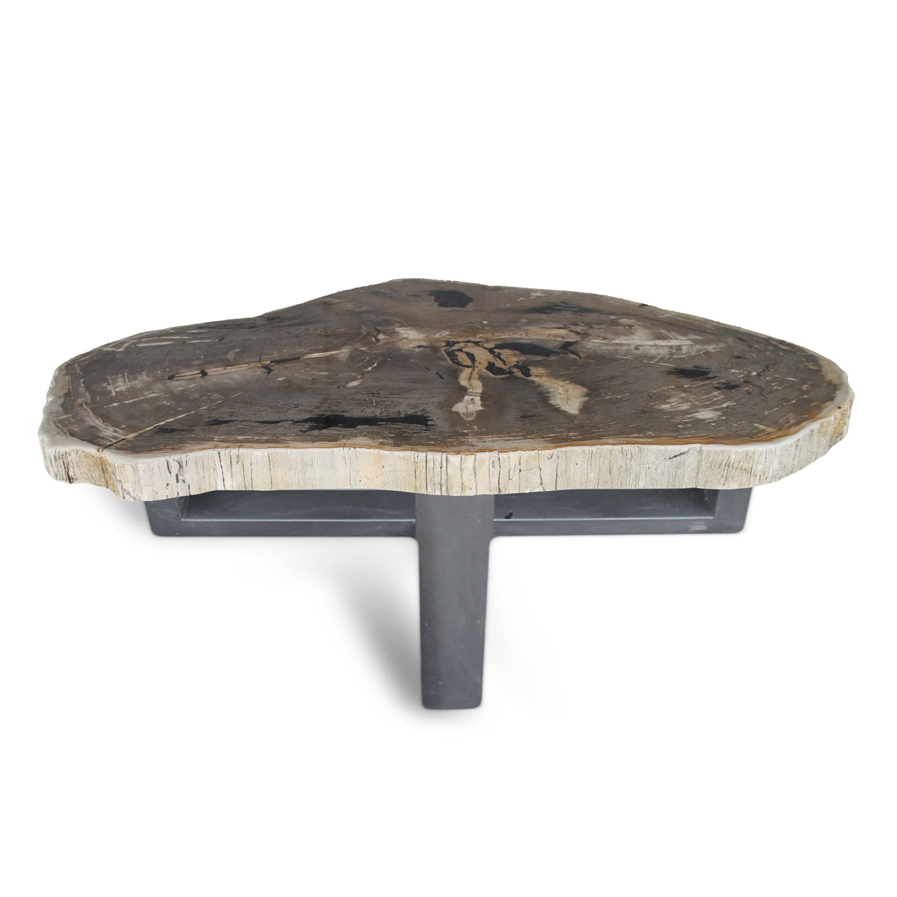 Kalifano Petrified Wood Petrified Wood Round Slab Coffee Table from Indonesia - 62" / 462 lbs PWT16800.001