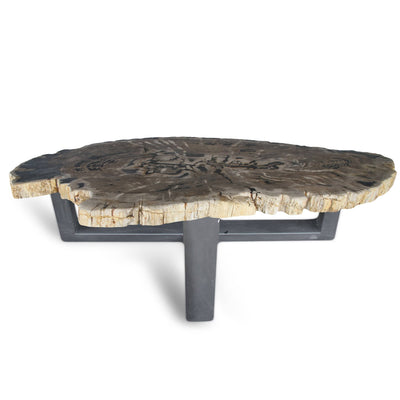 Kalifano Petrified Wood Petrified Wood Round Slab Dining Table from Indonesia - 72" / 460 lbs PWT16800.002