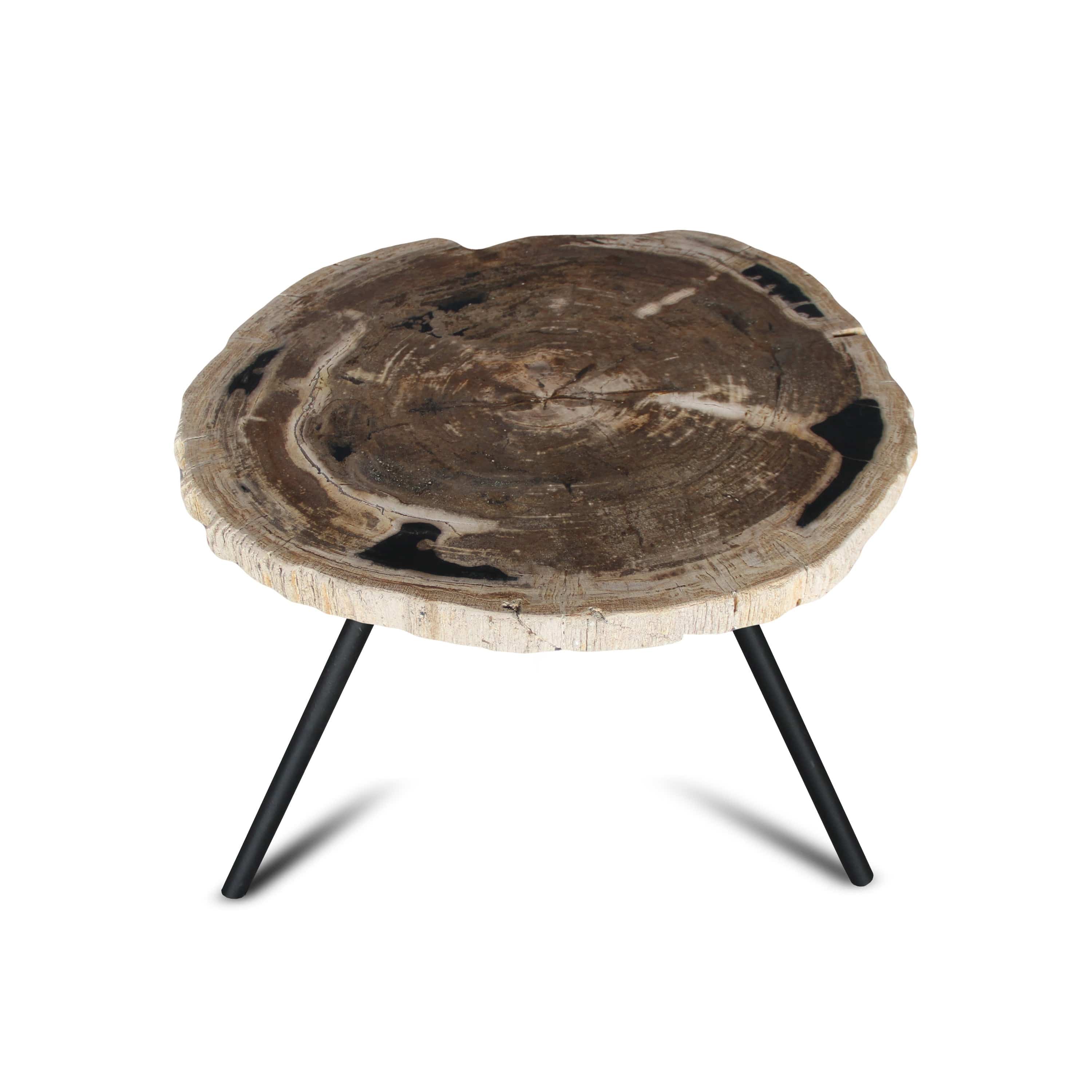 Kalifano Petrified Wood Petrified Wood Round Slice Side Table from Indonesia - 25" / 59 lbs PWT2200.003