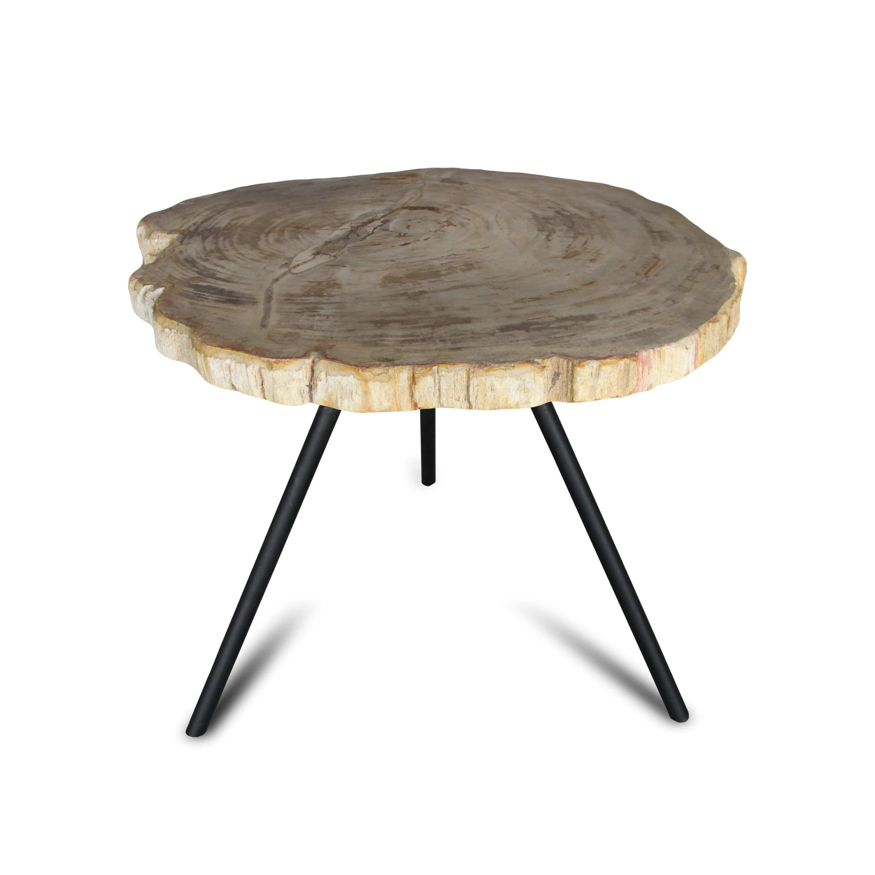 Kalifano Petrified Wood Petrified Wood Round Slice Side Table from Indonesia - 25" / 68 lbs PWT2600.001