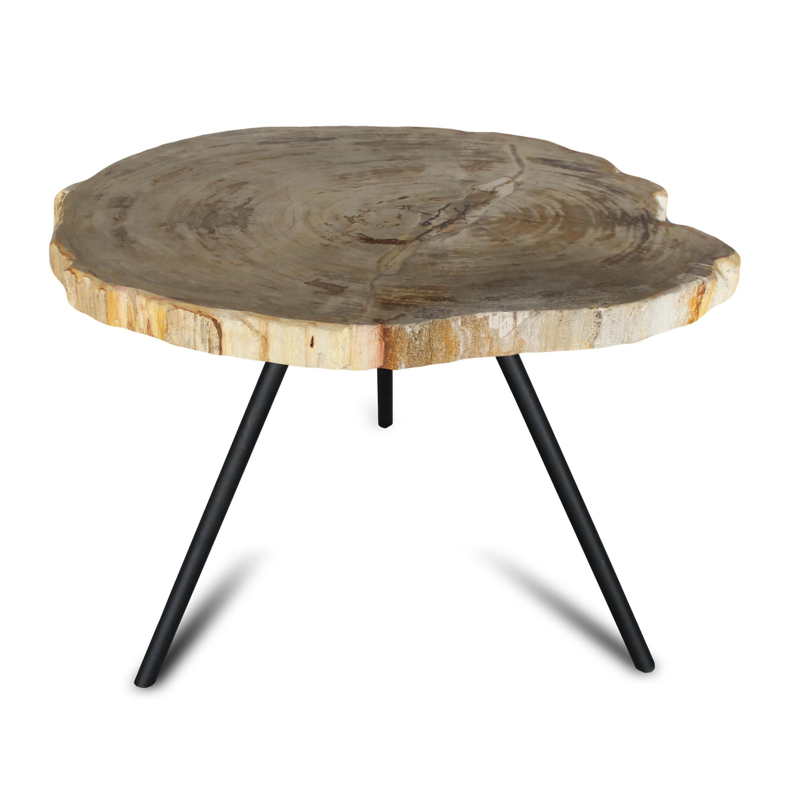 Kalifano Petrified Wood Petrified Wood Round Slice Side Table from Indonesia - 25" / 68 lbs PWT2600.001