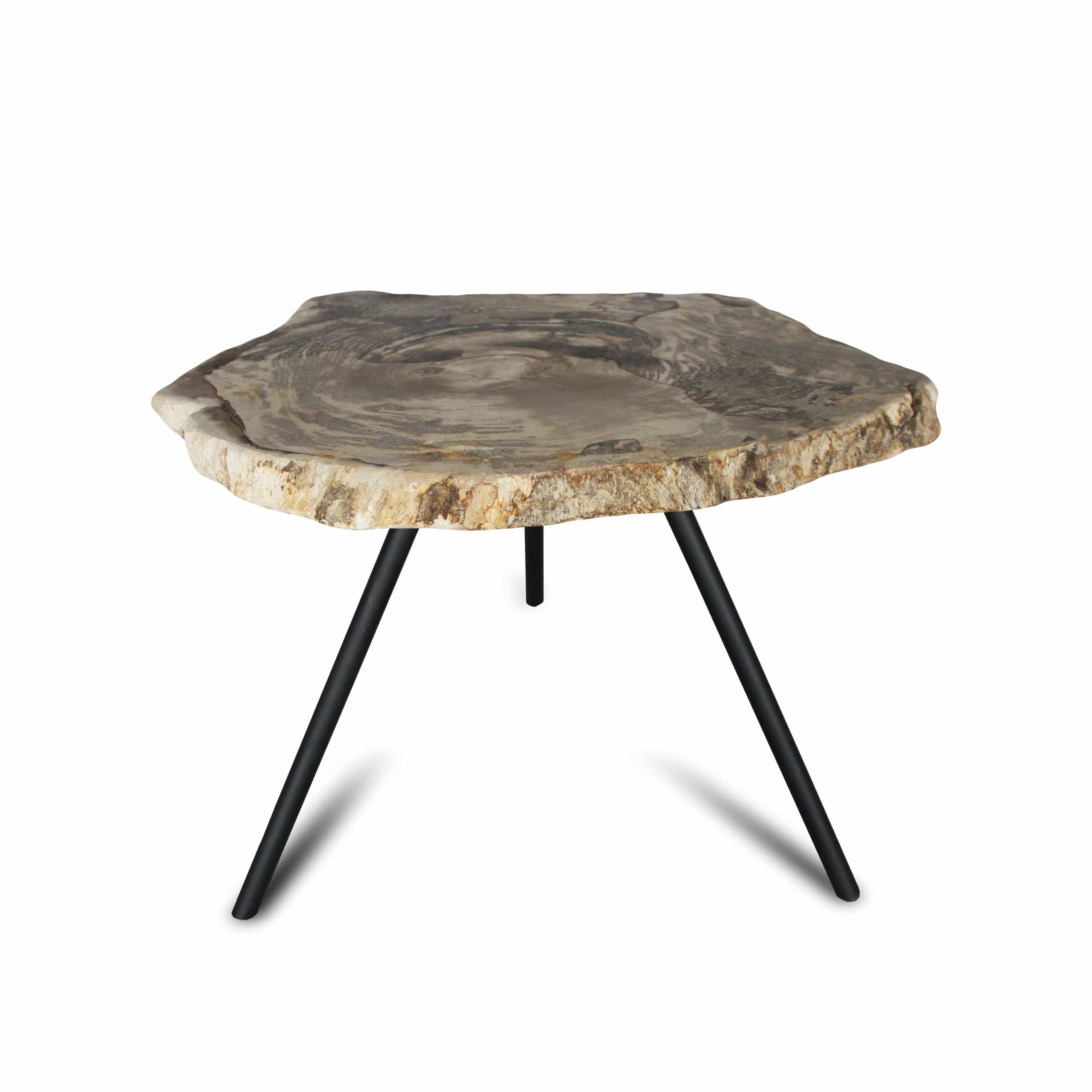 Kalifano Petrified Wood Petrified Wood Round Slice Side Table from Indonesia - 26" / 55 lbs PWT2000.005