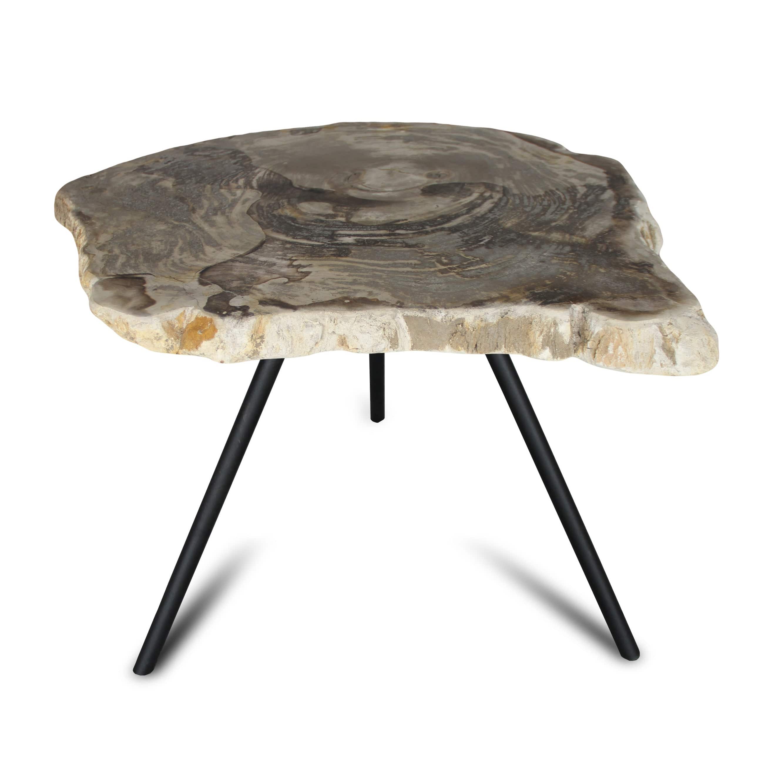 Kalifano Petrified Wood Petrified Wood Round Slice Side Table from Indonesia - 26" / 55 lbs PWT2000.005
