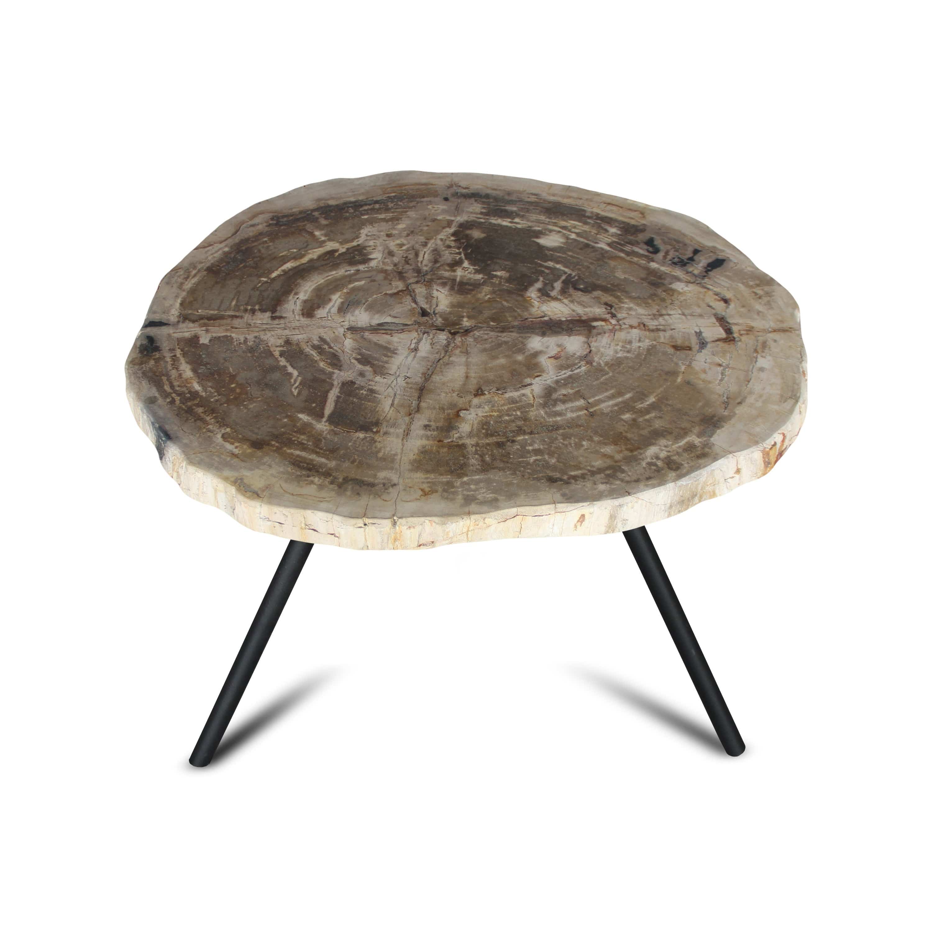Kalifano Petrified Wood Petrified Wood Round Slice Side Table from Indonesia - 26" / 66 lbs PWT2400.004