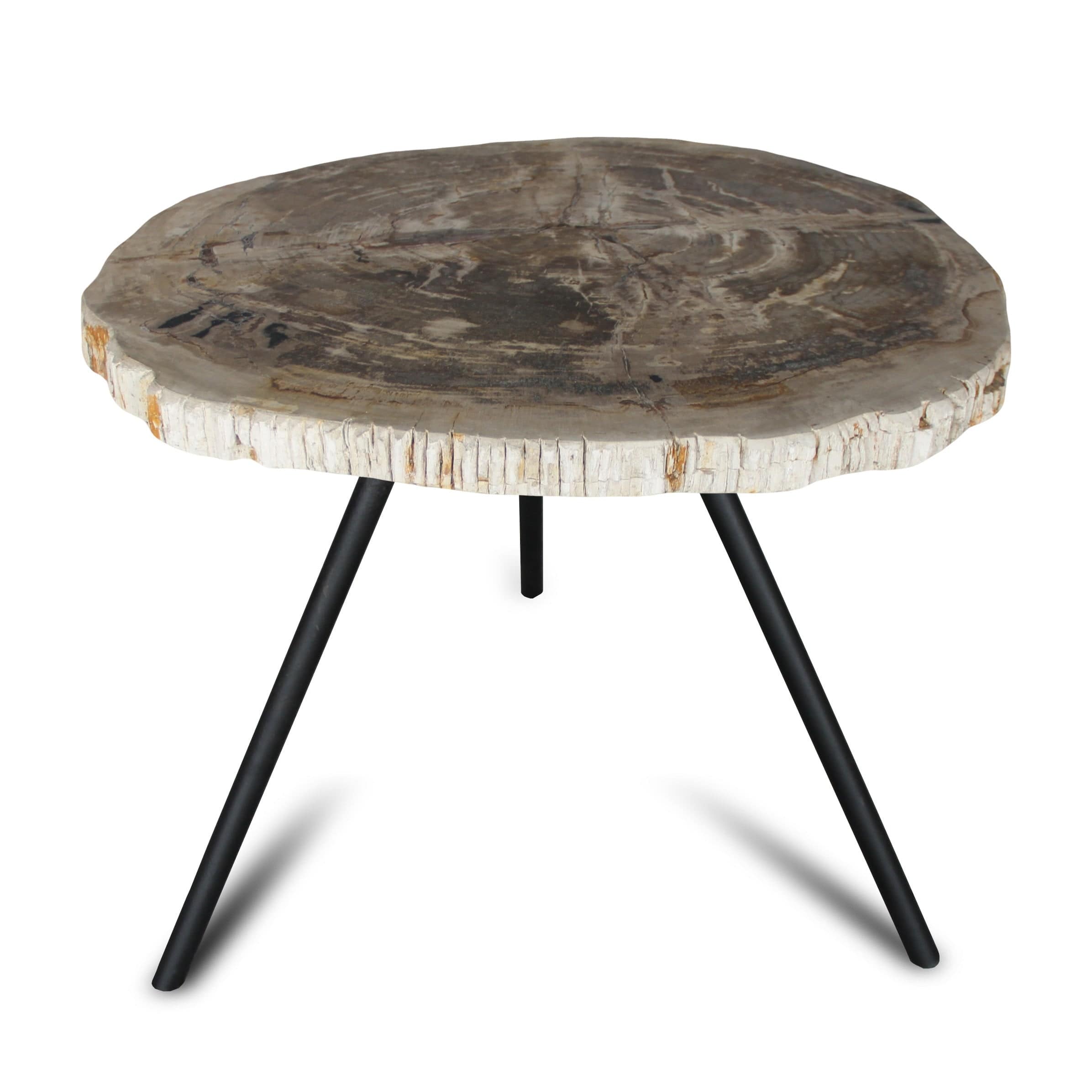 Kalifano Petrified Wood Petrified Wood Round Slice Side Table from Indonesia - 26" / 66 lbs PWT2400.004