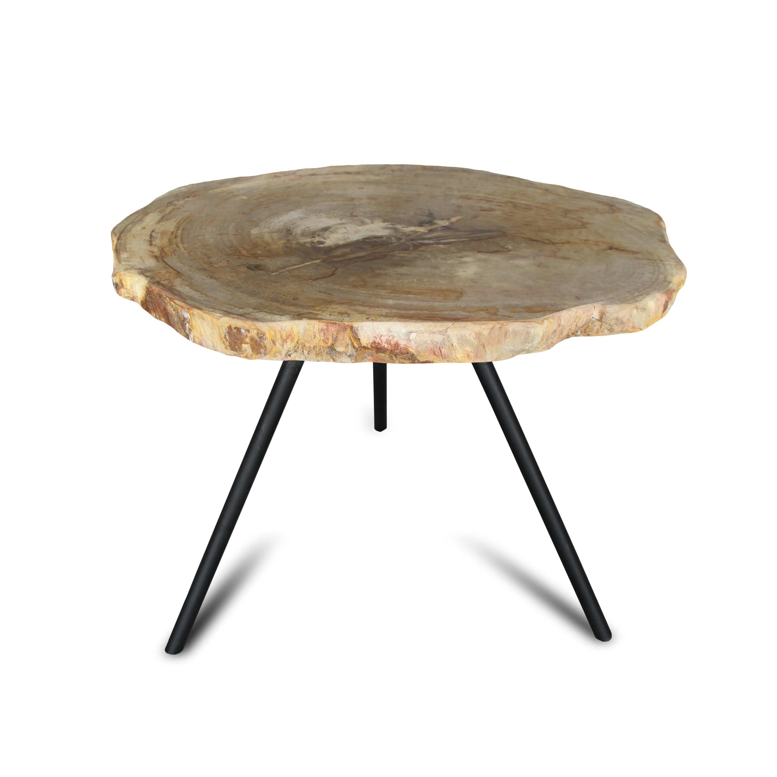 Kalifano Petrified Wood Petrified Wood Round Slice Side Table from Indonesia - 27" / 73 lbs PWT2800.002