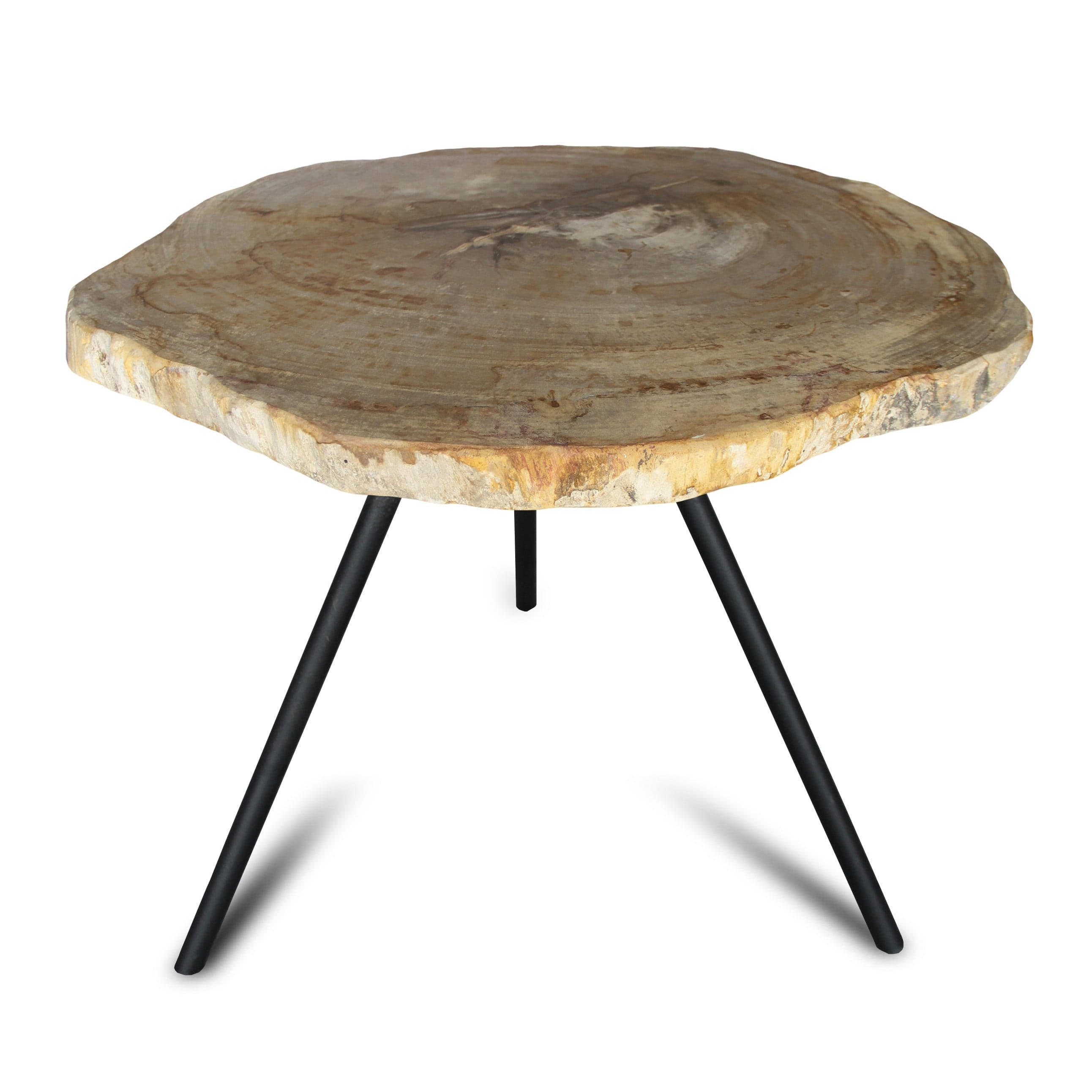 Kalifano Petrified Wood Petrified Wood Round Slice Side Table from Indonesia - 27" / 73 lbs PWT2800.002