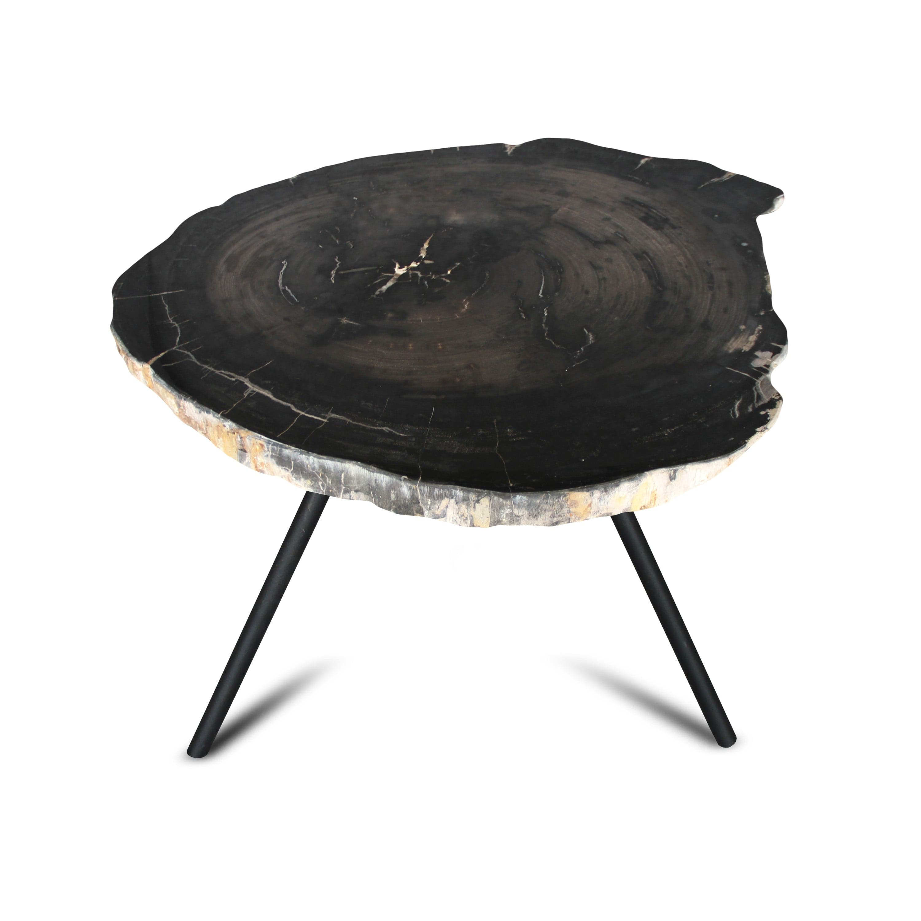 Kalifano Petrified Wood Petrified Wood Round Slice Side Table from Indonesia - 28" / 64 lbs PWT2400.003