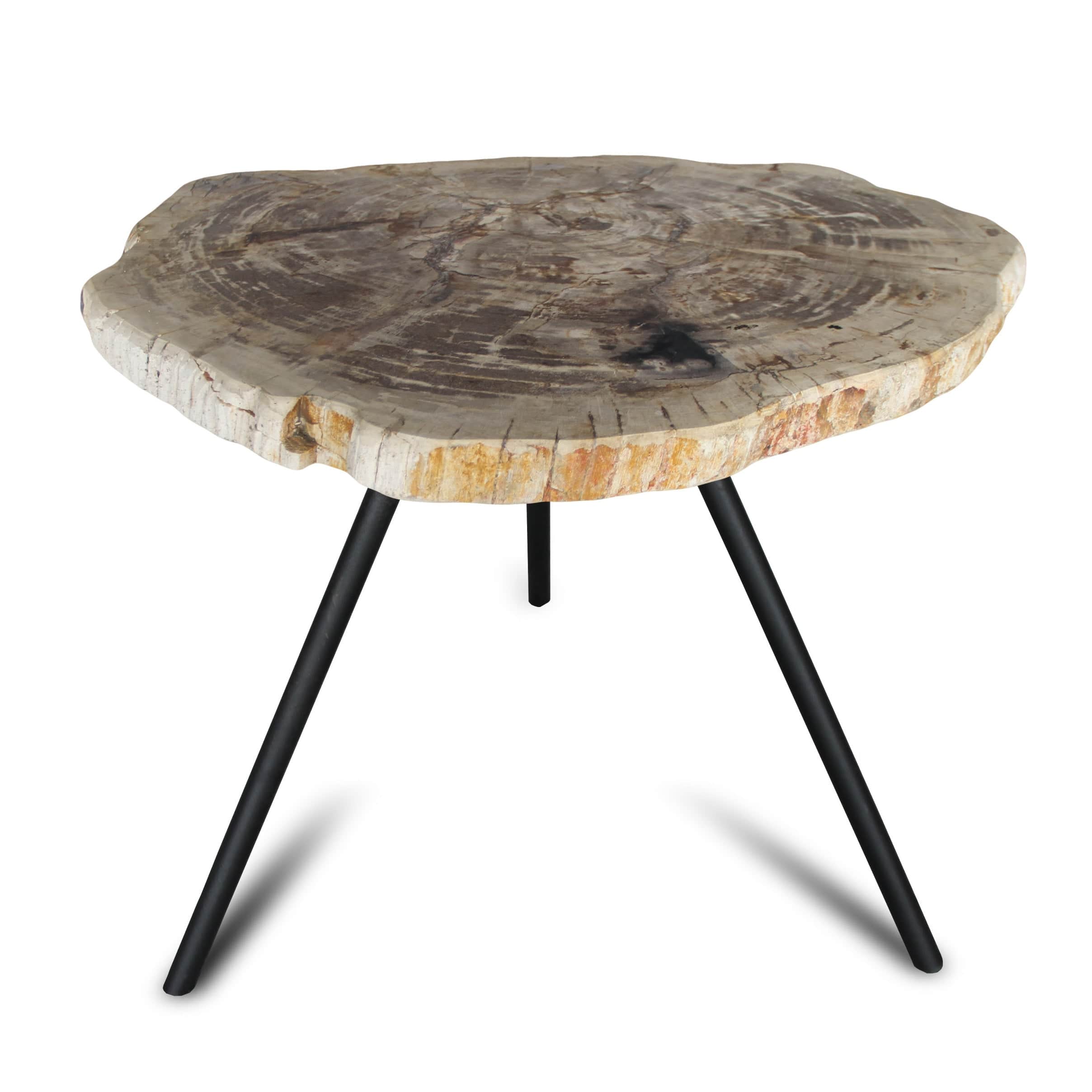 Kalifano Petrified Wood Petrified Wood Round Slice Side Table from Indonesia - 28" / 77 lbs PWT2800.003