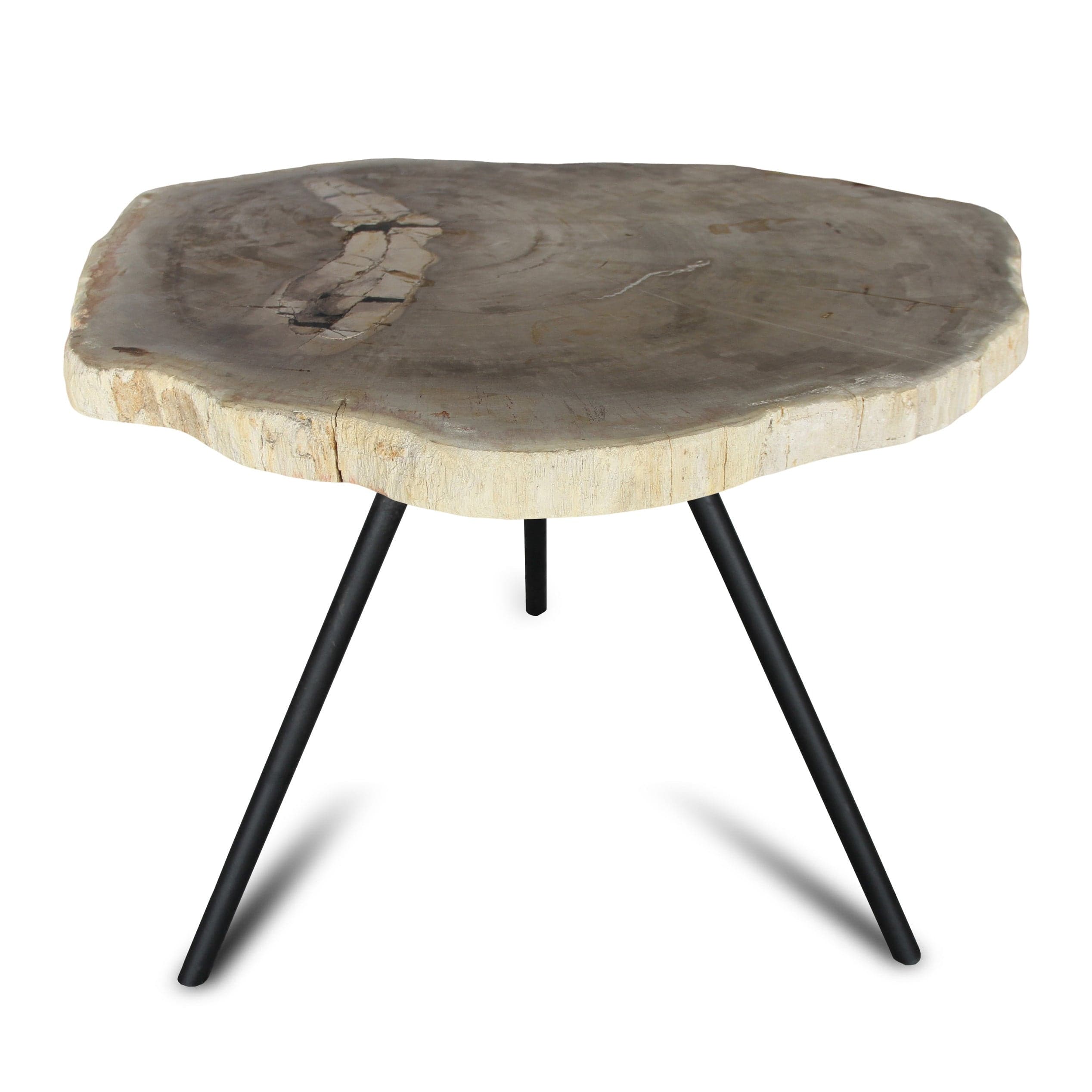 Kalifano Petrified Wood Petrified Wood Round Slice Side Table from Indonesia - 29" / 77 lbs PWT2800.001