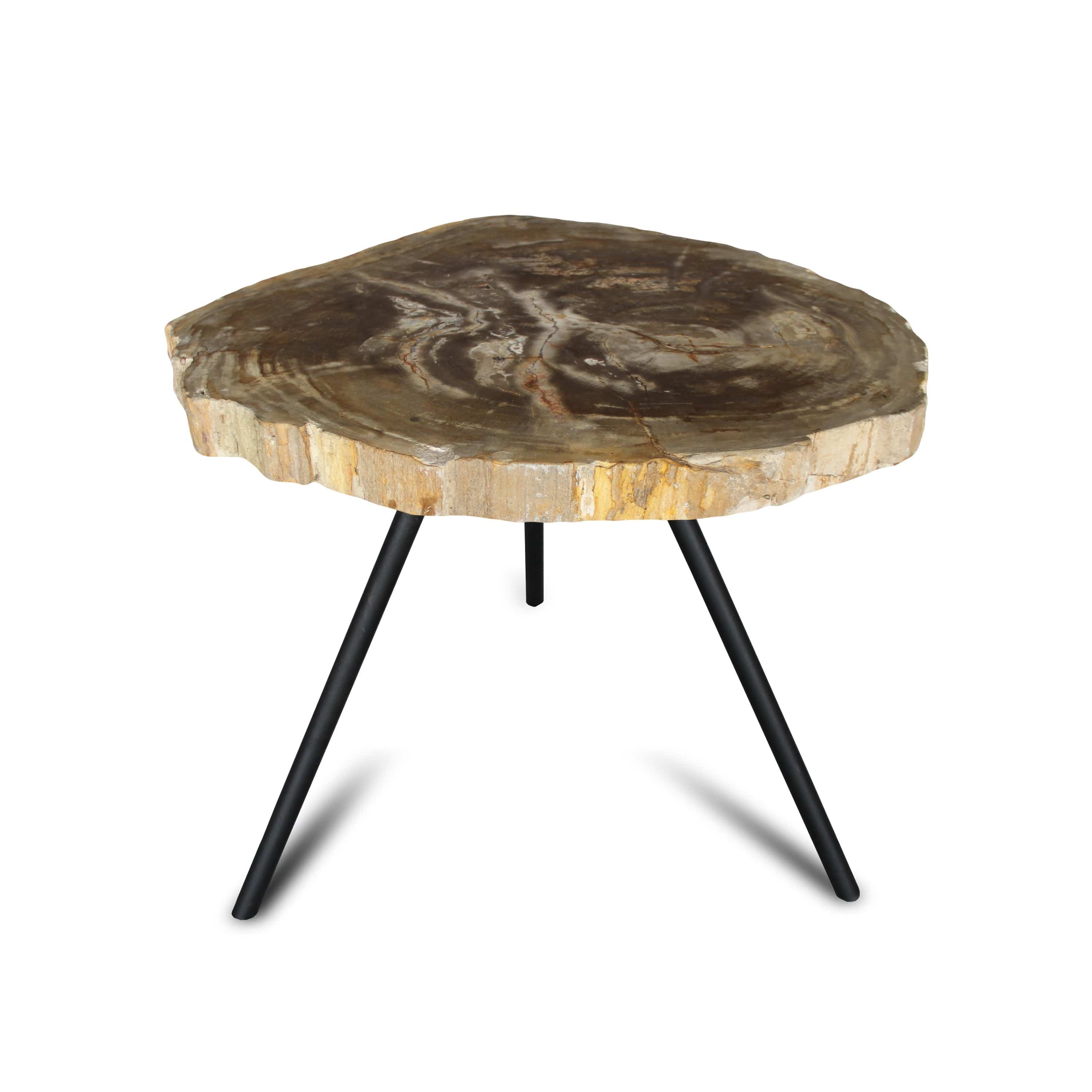 Kalifano Petrified Wood Petrified Wood Round Slice Side Table from Indonesia - 29" / 92 lbs PWT3400.001